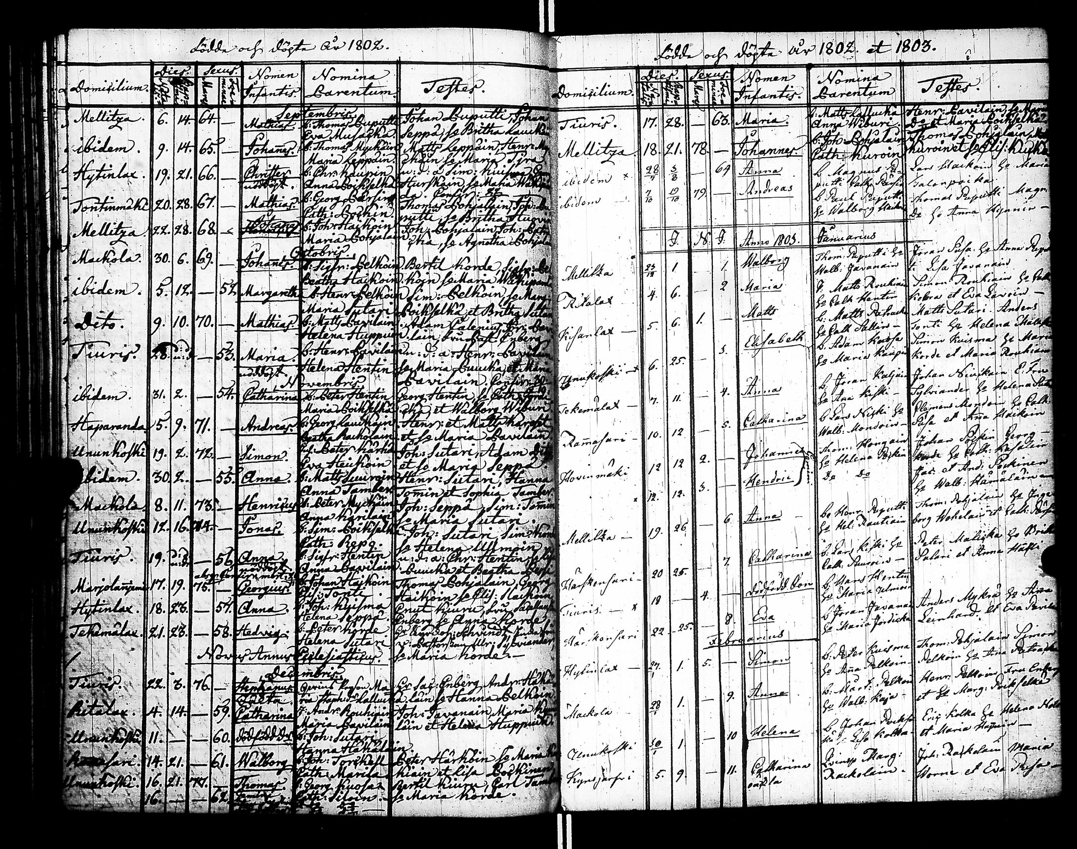 [ ../kirjat/Kirkonkirjat/raisala/syntyneet-vihityt-kuolleet_1785-1807_uk732/kuvat/113.jpg ]