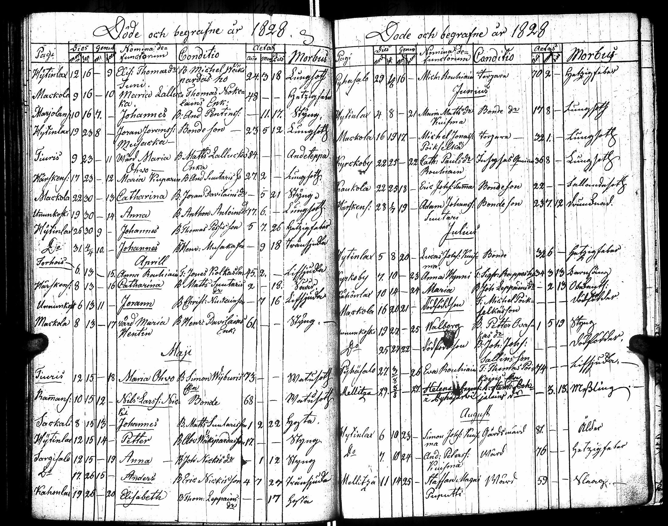 [ ../kirjat/Kirkonkirjat/raisala/syntyneet-vihityt-kuolleet_1808-1832_uk732/kuvat/186.jpg ]