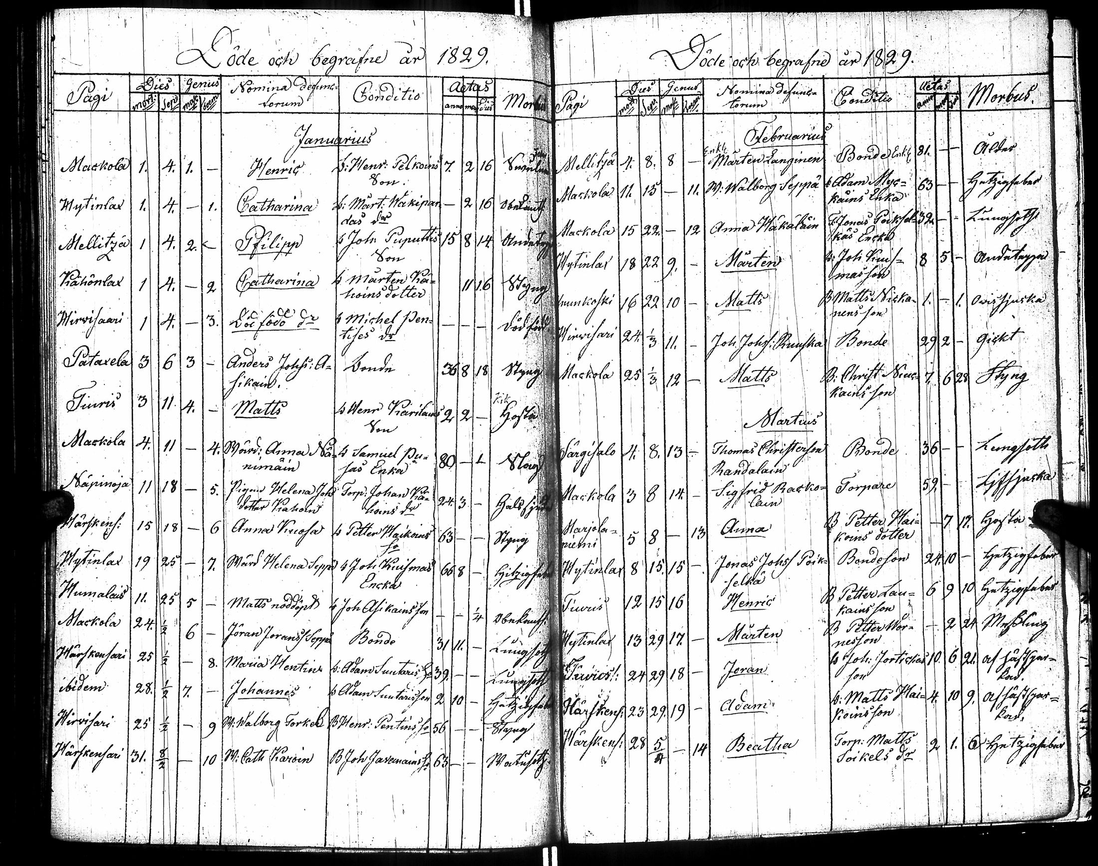 [ kuvat/188.jpg ]