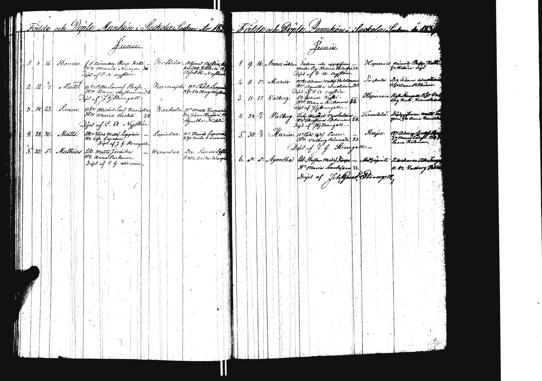[ kuvat/157.jpg ]