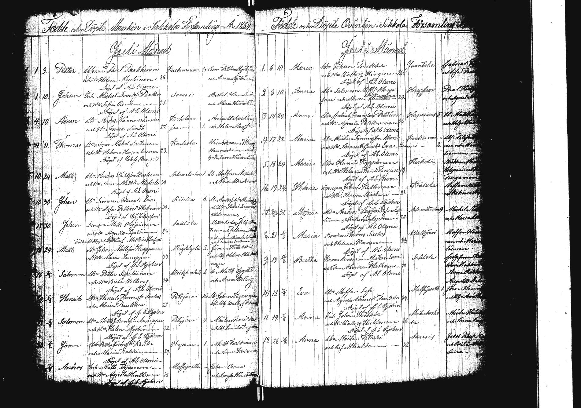 [ kuvat/156.jpg ]