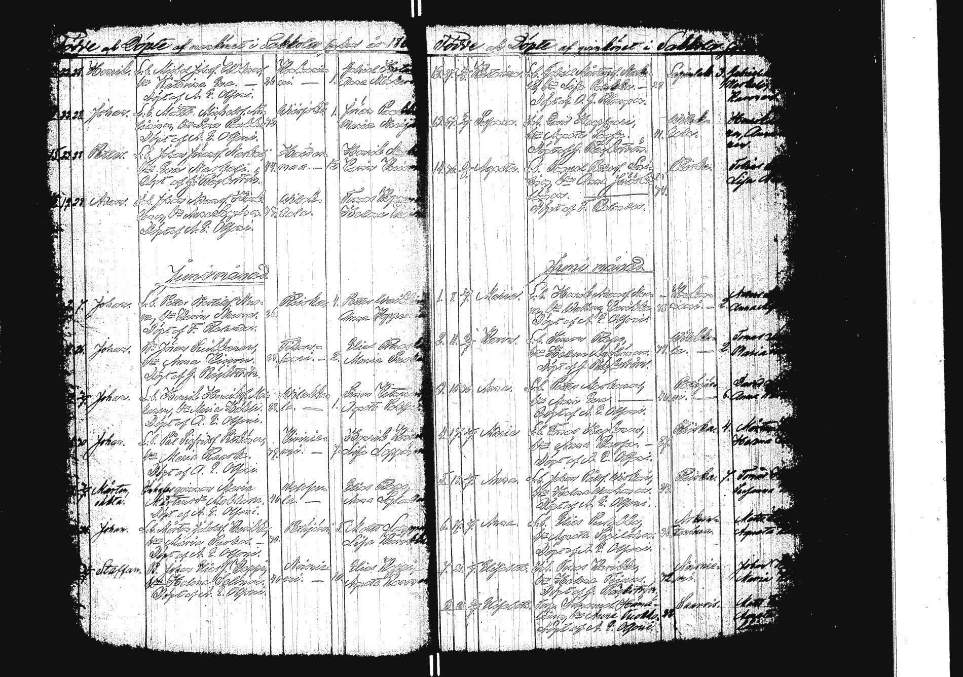 [ kuvat/170.jpg ]