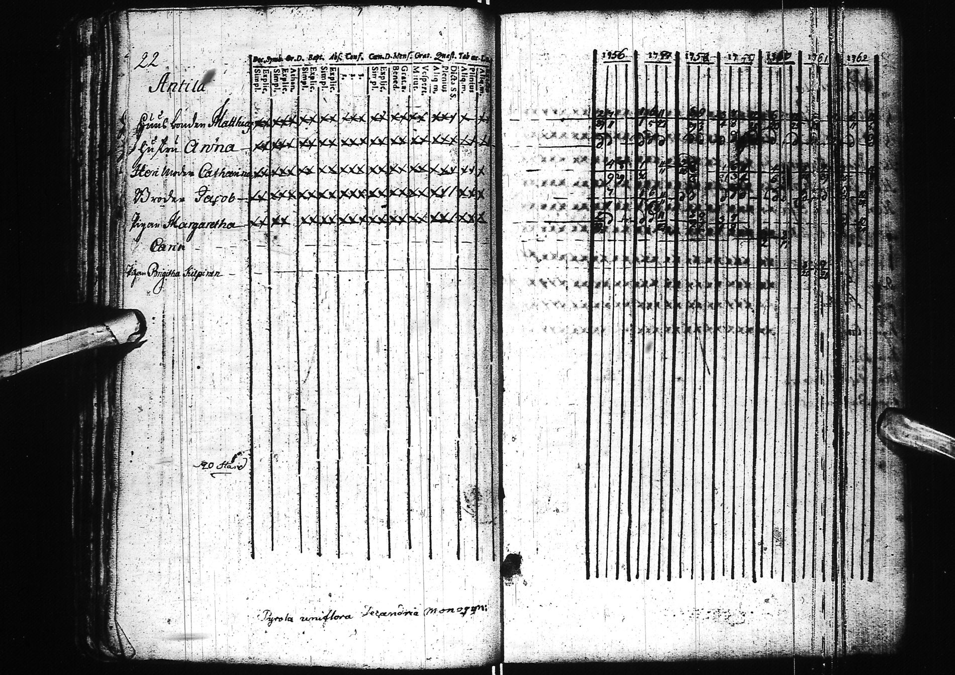 [ ../kirjat/Kirkonkirjat/simo/rippikirja_1742-1783_ik235/kuvat/56.jpg ]