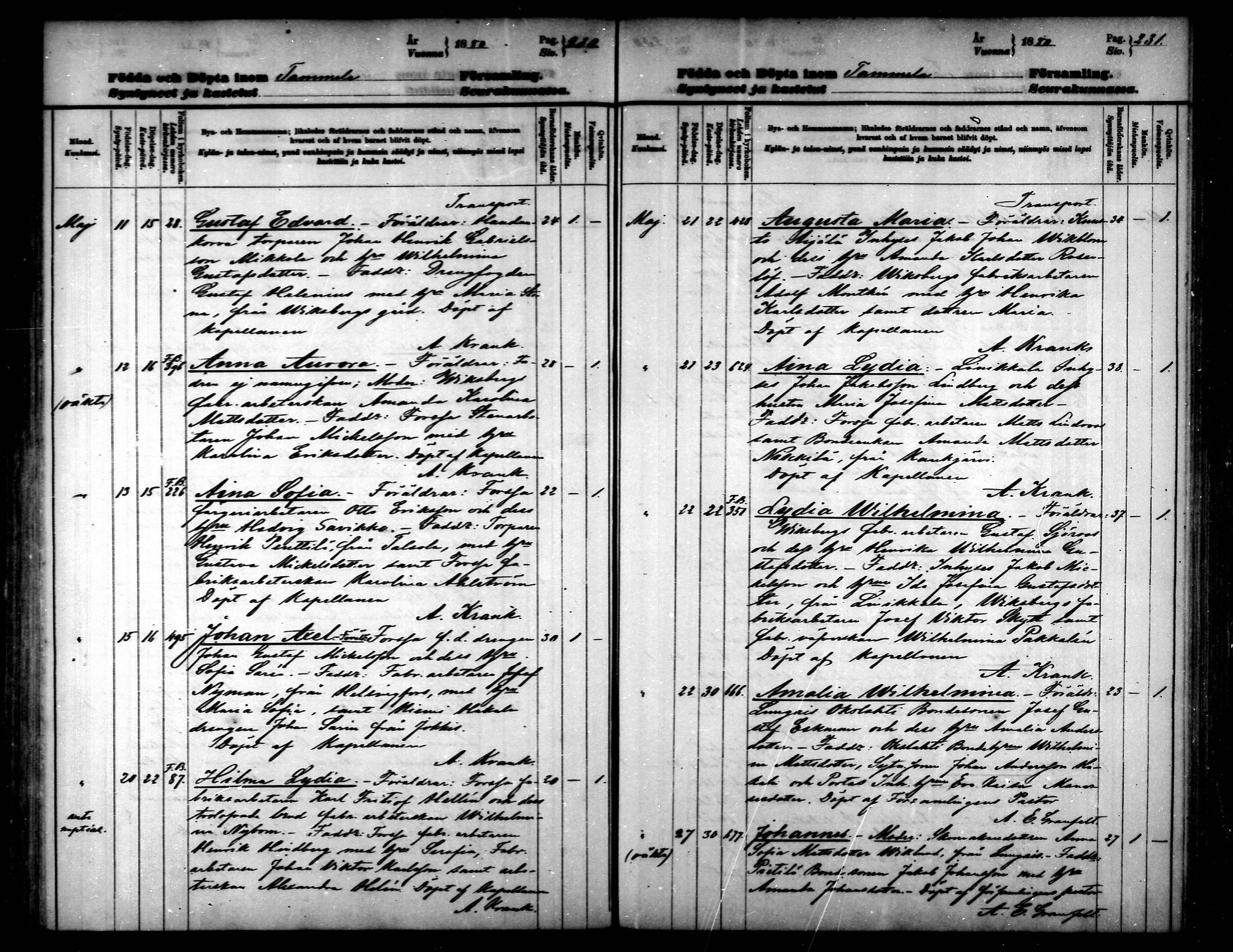 [ ../kirjat/Kirkonkirjat/tammela/syntyneet_1877-1883_mko618-628/kuvat/116.jpg ]