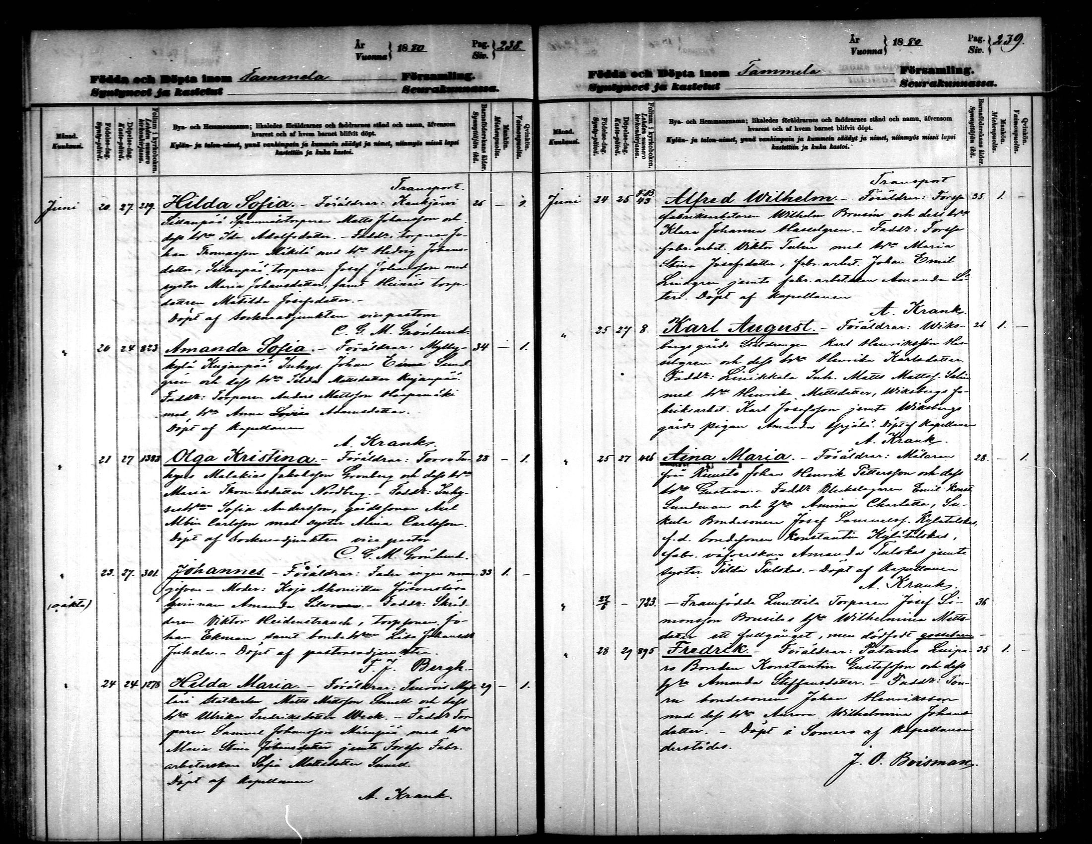 [ ../kirjat/Kirkonkirjat/tammela/syntyneet_1877-1883_mko618-628/kuvat/120.jpg ]