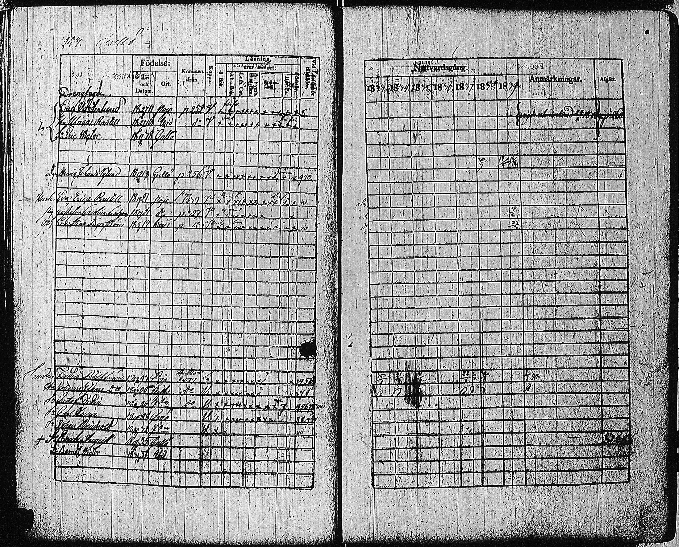 [ ../kirjat/Kirkonkirjat/tammisaari/rippikirja_1832-1839_kk83/kuvat/239.jpg ]