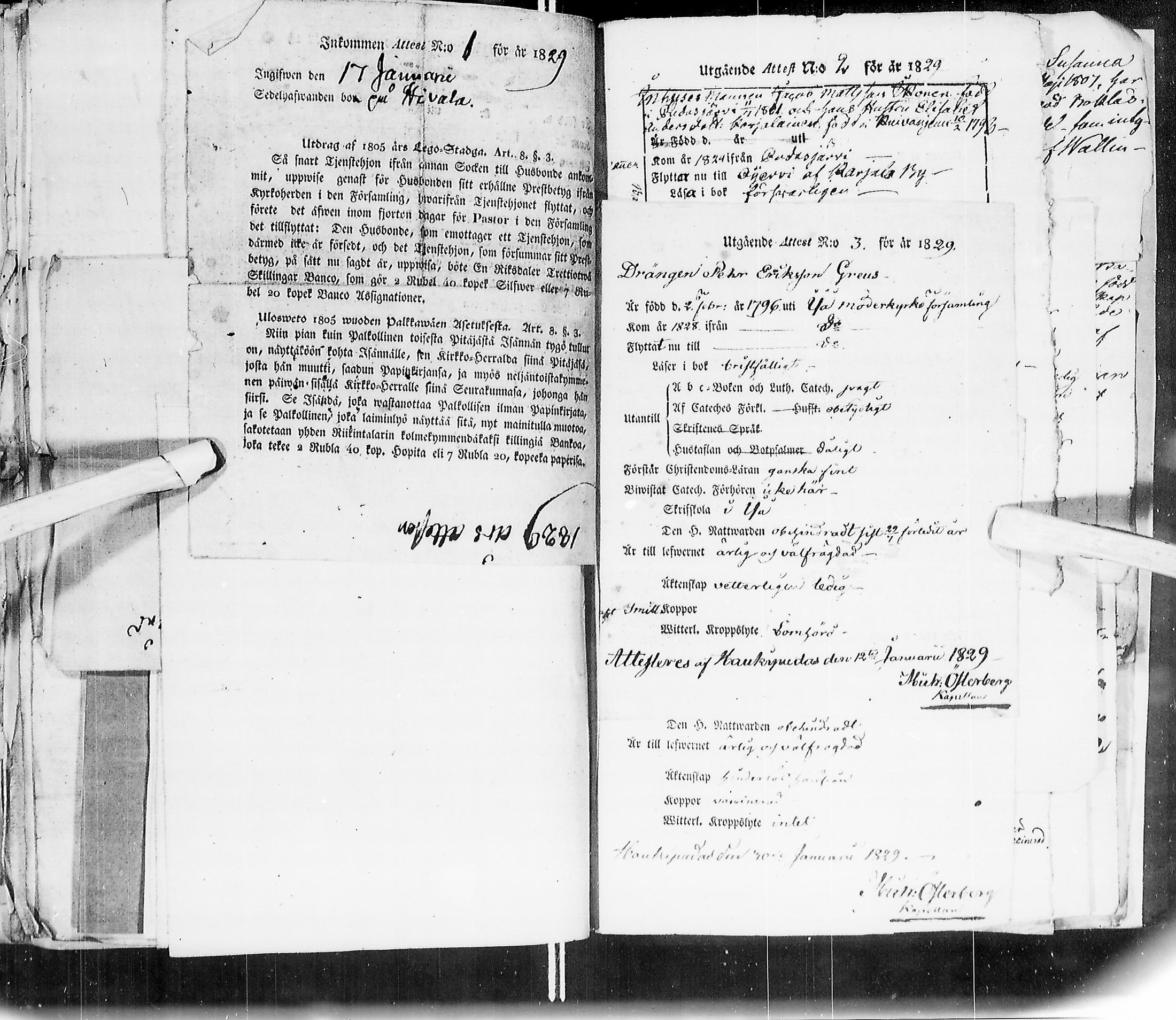 [ kuvat/203.jpg ]