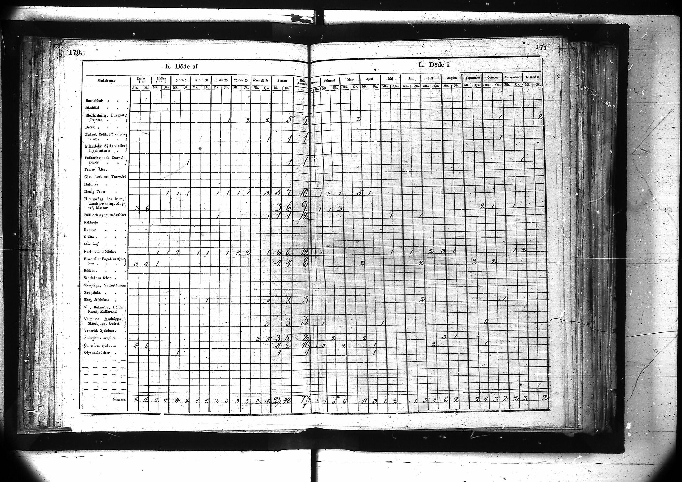 [ kuvat/147.jpg ]