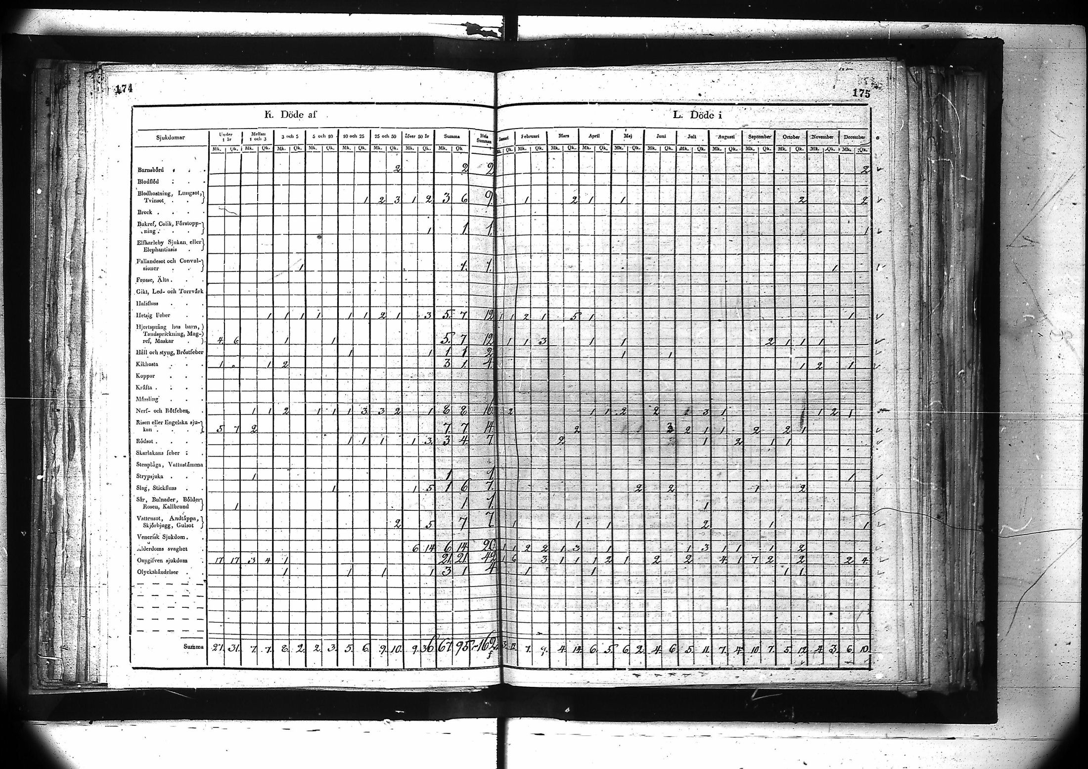 [ kuvat/149.jpg ]