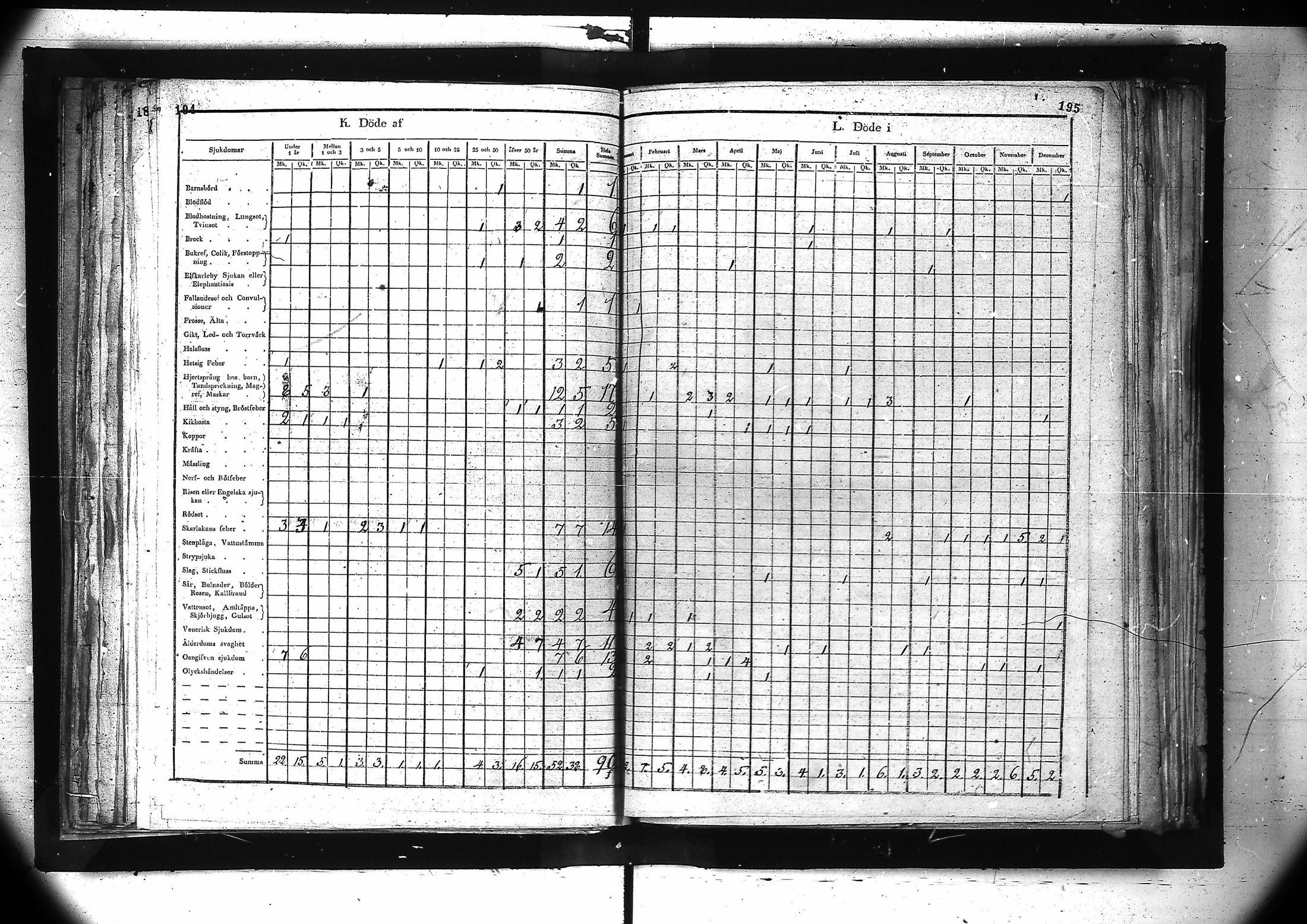 [ kuvat/159.jpg ]