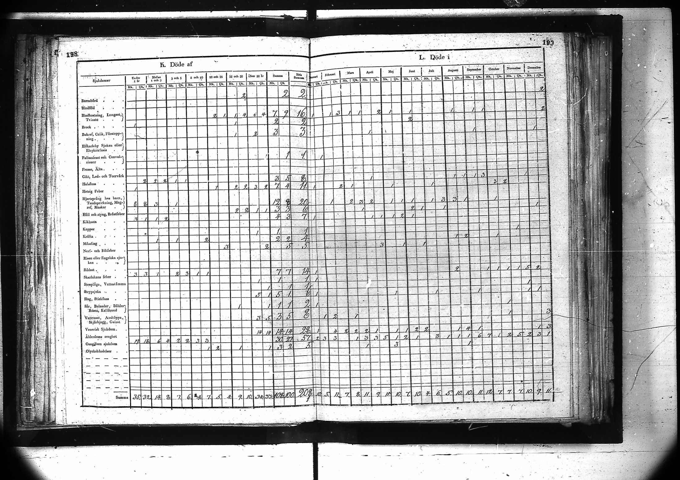 [ kuvat/161.jpg ]