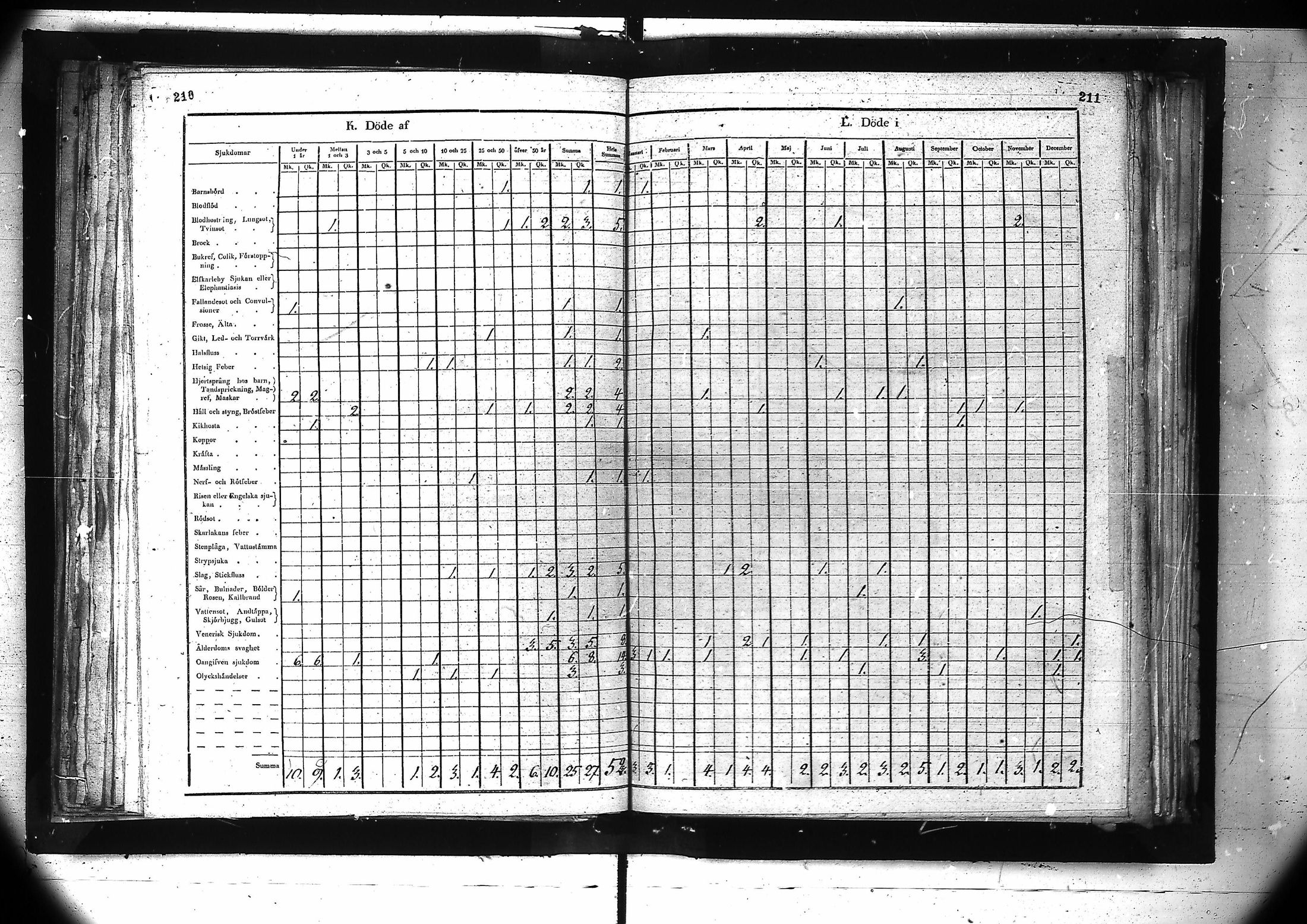 [ kuvat/167.jpg ]
