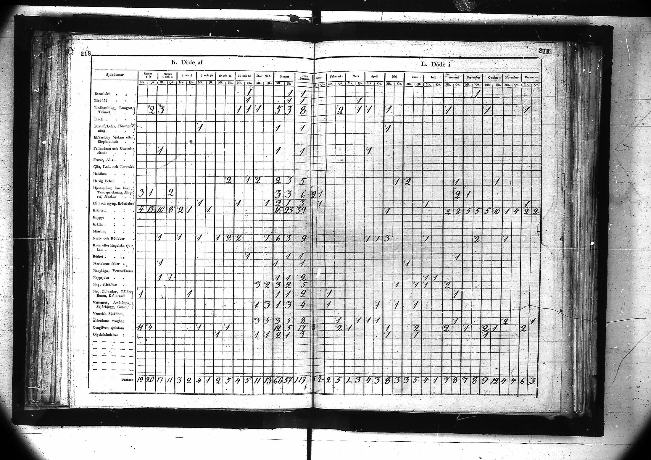[ kuvat/171.jpg ]