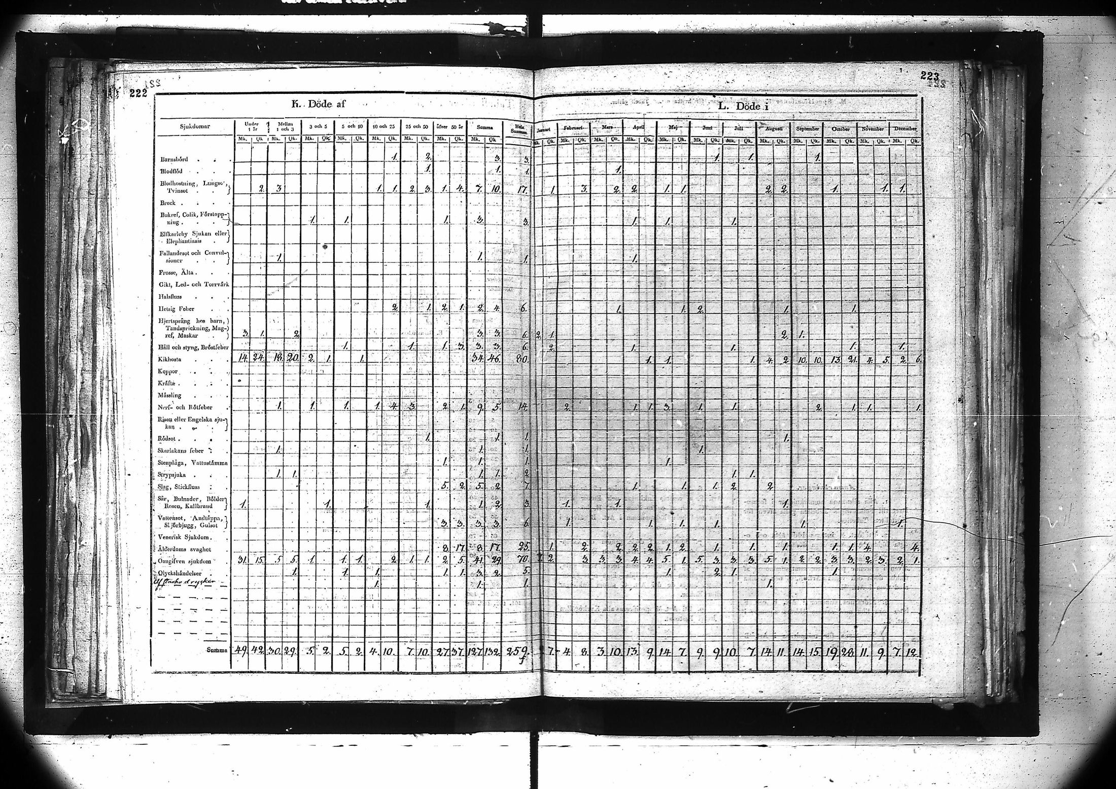 [ kuvat/173.jpg ]