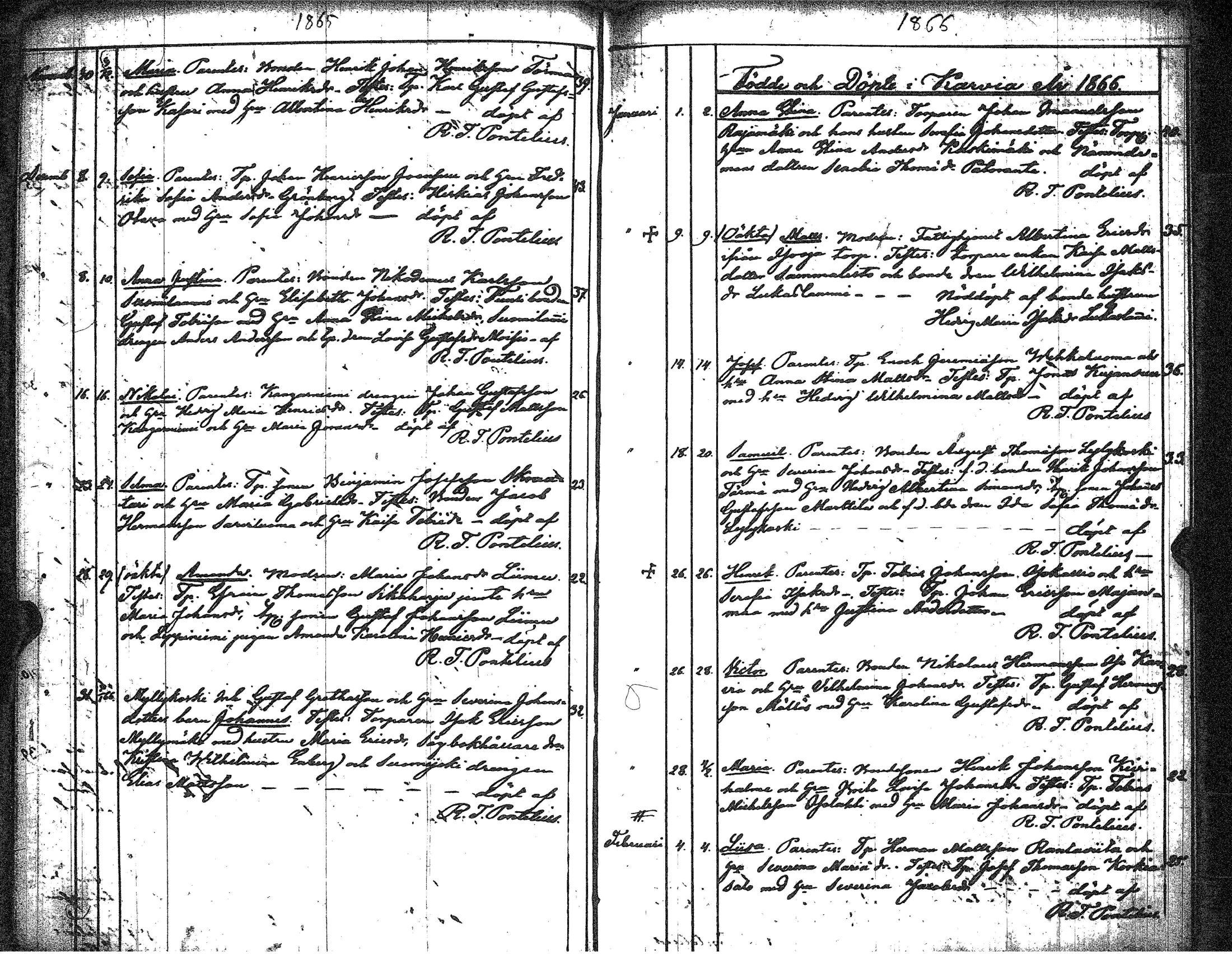 [ kuvat/73.jpg ]