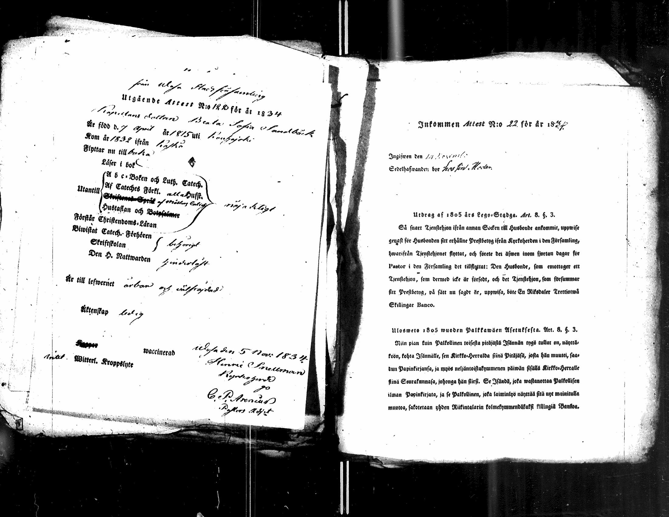 [ kuvat/118.jpg ]