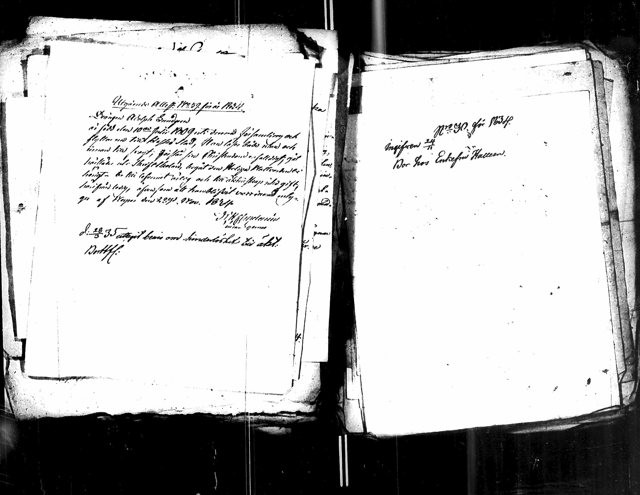 [ kuvat/127.jpg ]