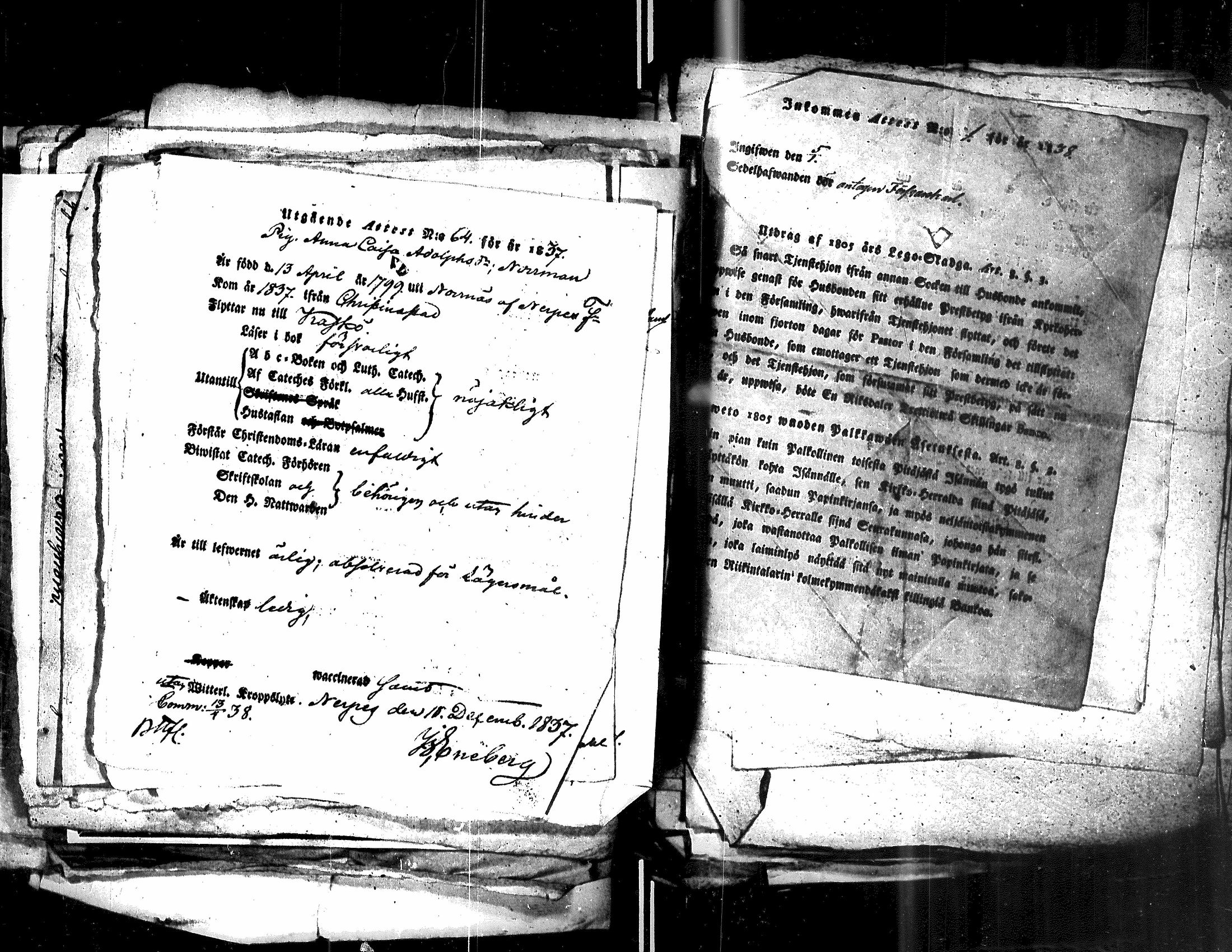 [ kuvat/222.jpg ]