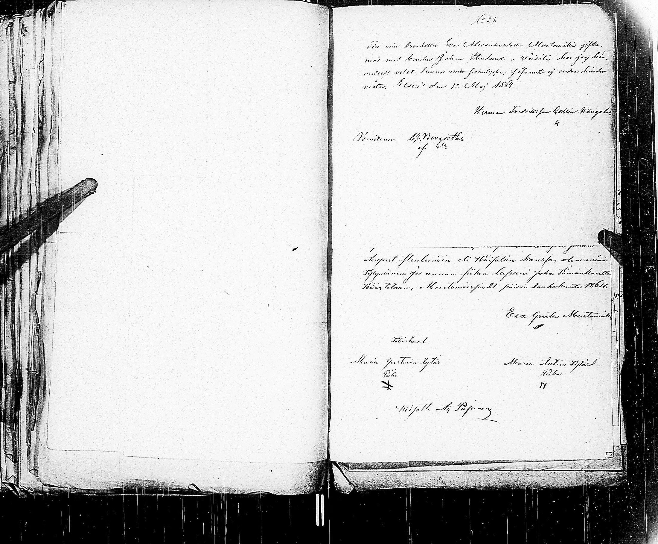[ kuvat/352.jpg ]