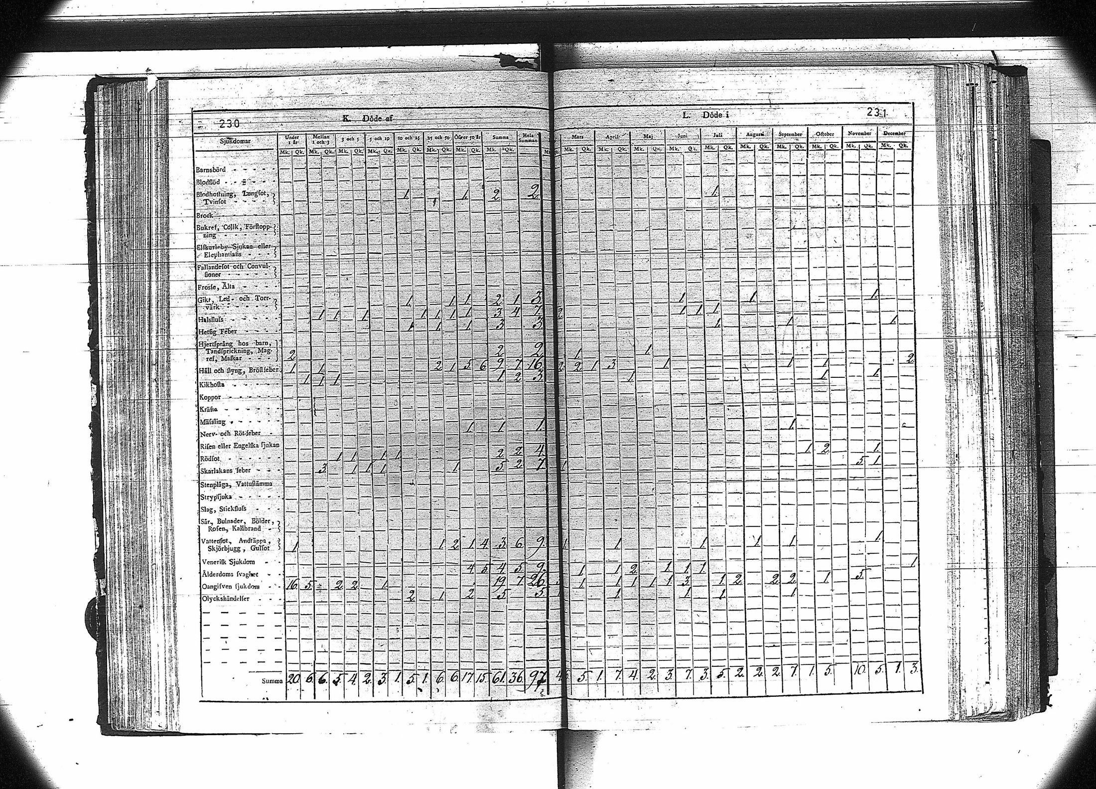 [ kuvat/117.jpg ]