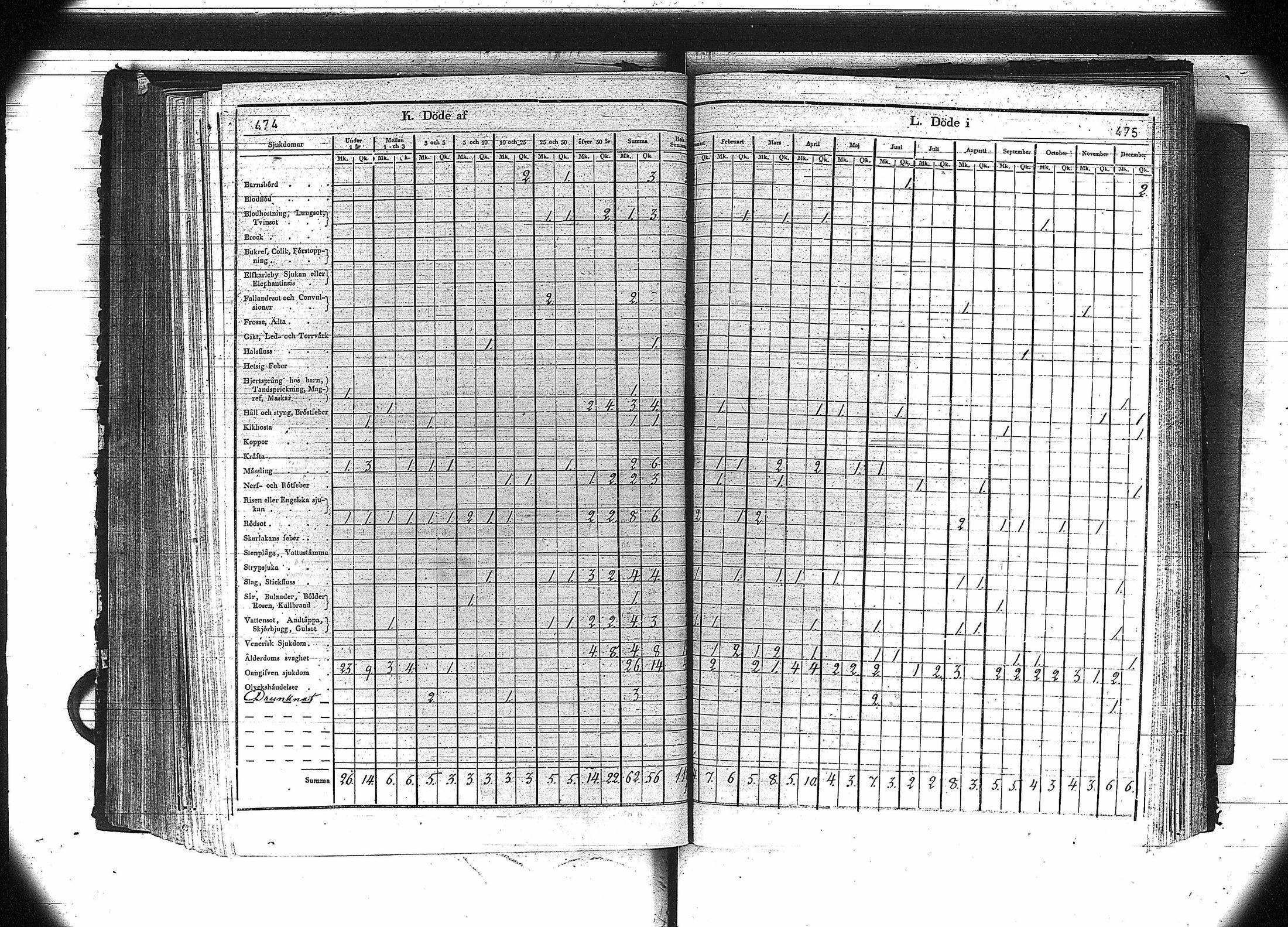 [ kuvat/239.jpg ]