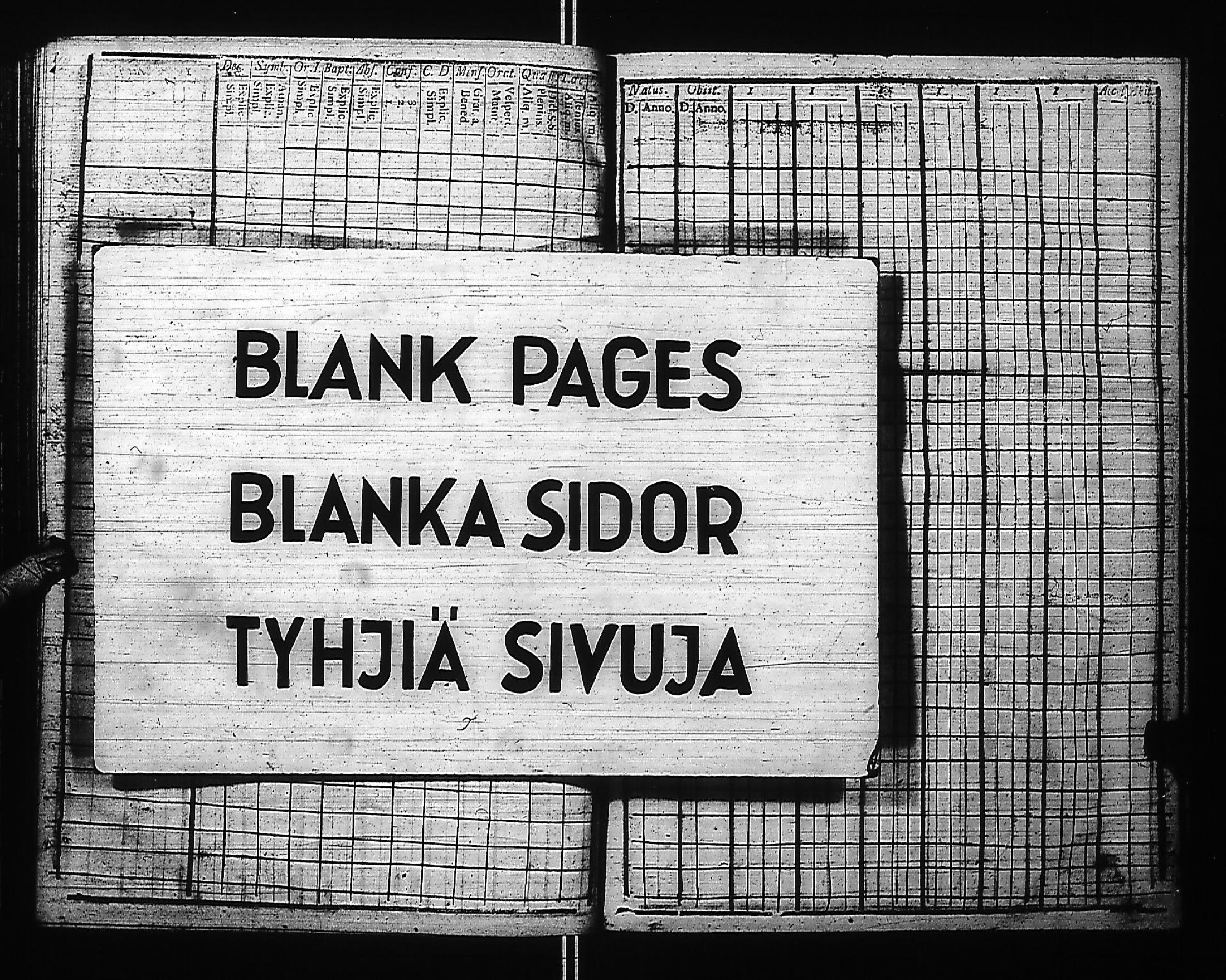 [ kuvat/77.jpg ]