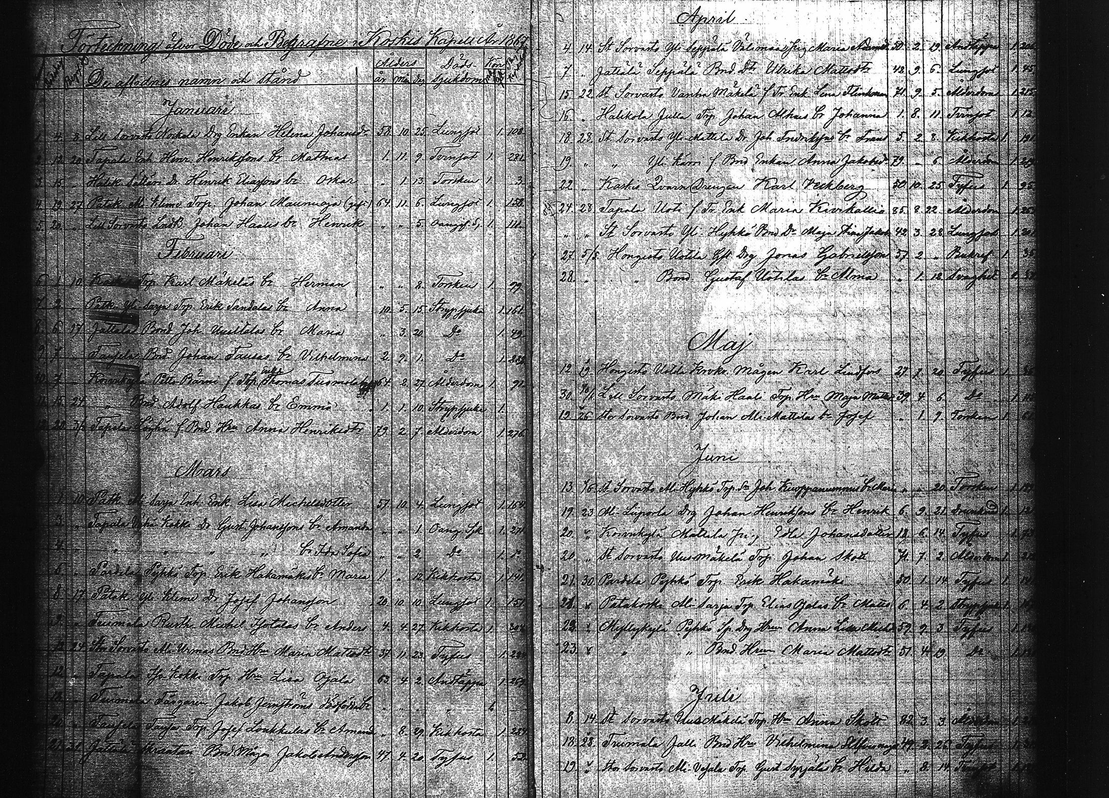 [ kuvat/41.jpg ]
