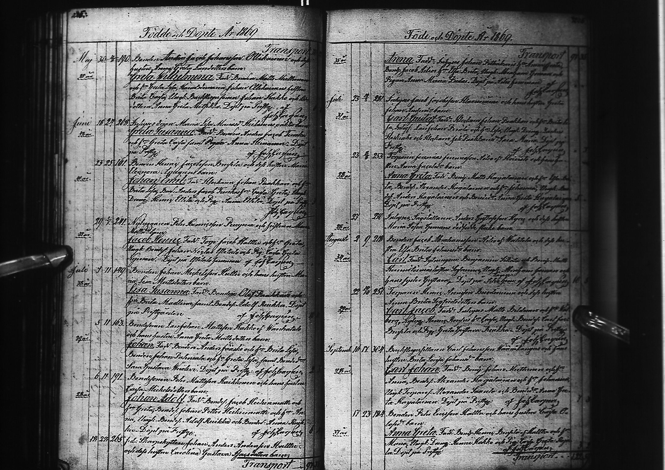 [ kuvat/117.jpg ]