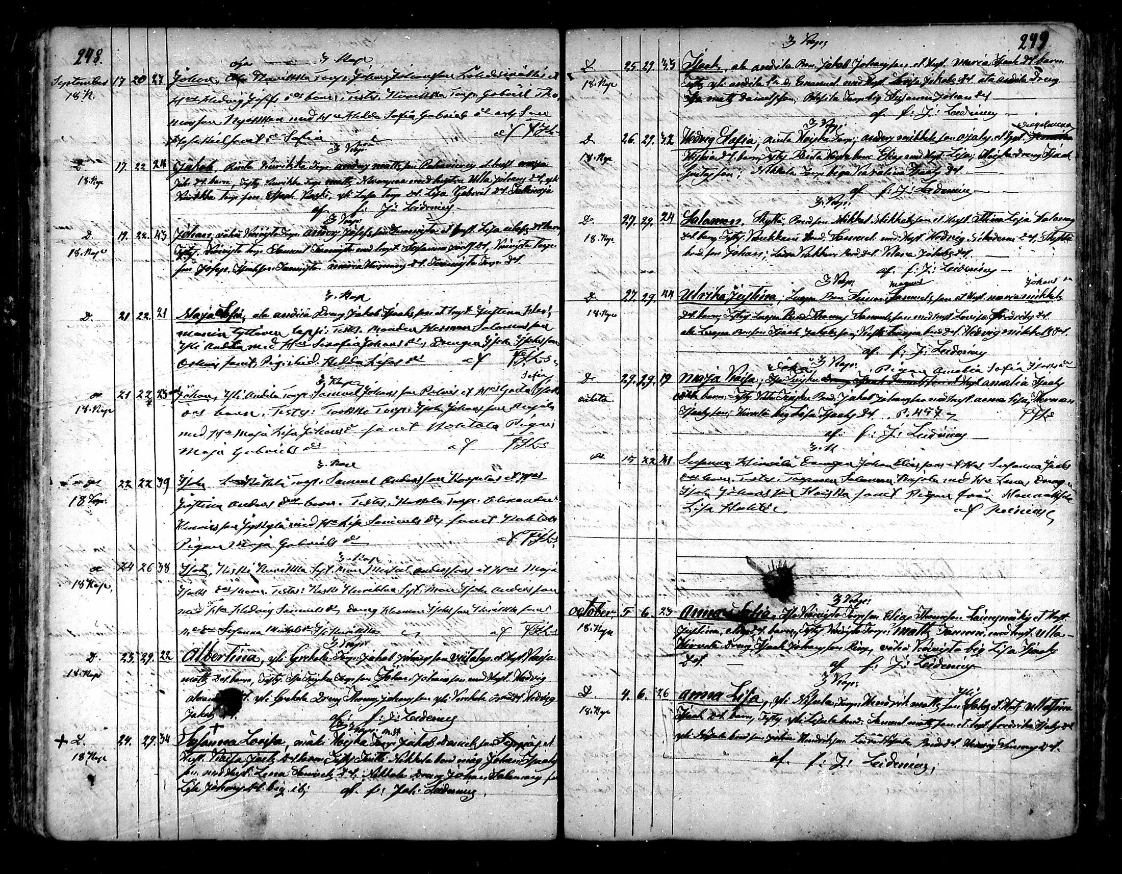[ kuvat/125.jpg ]