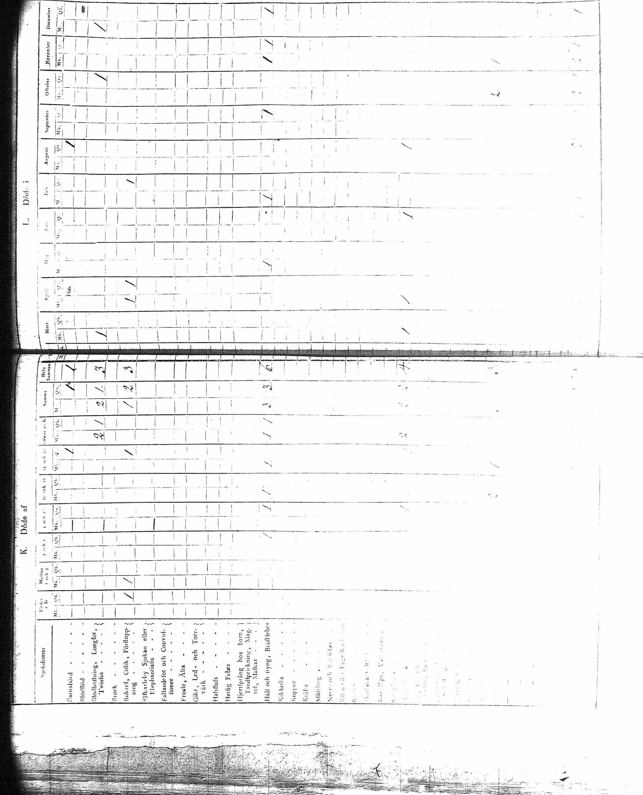 [ kuvat/212.jpg ]