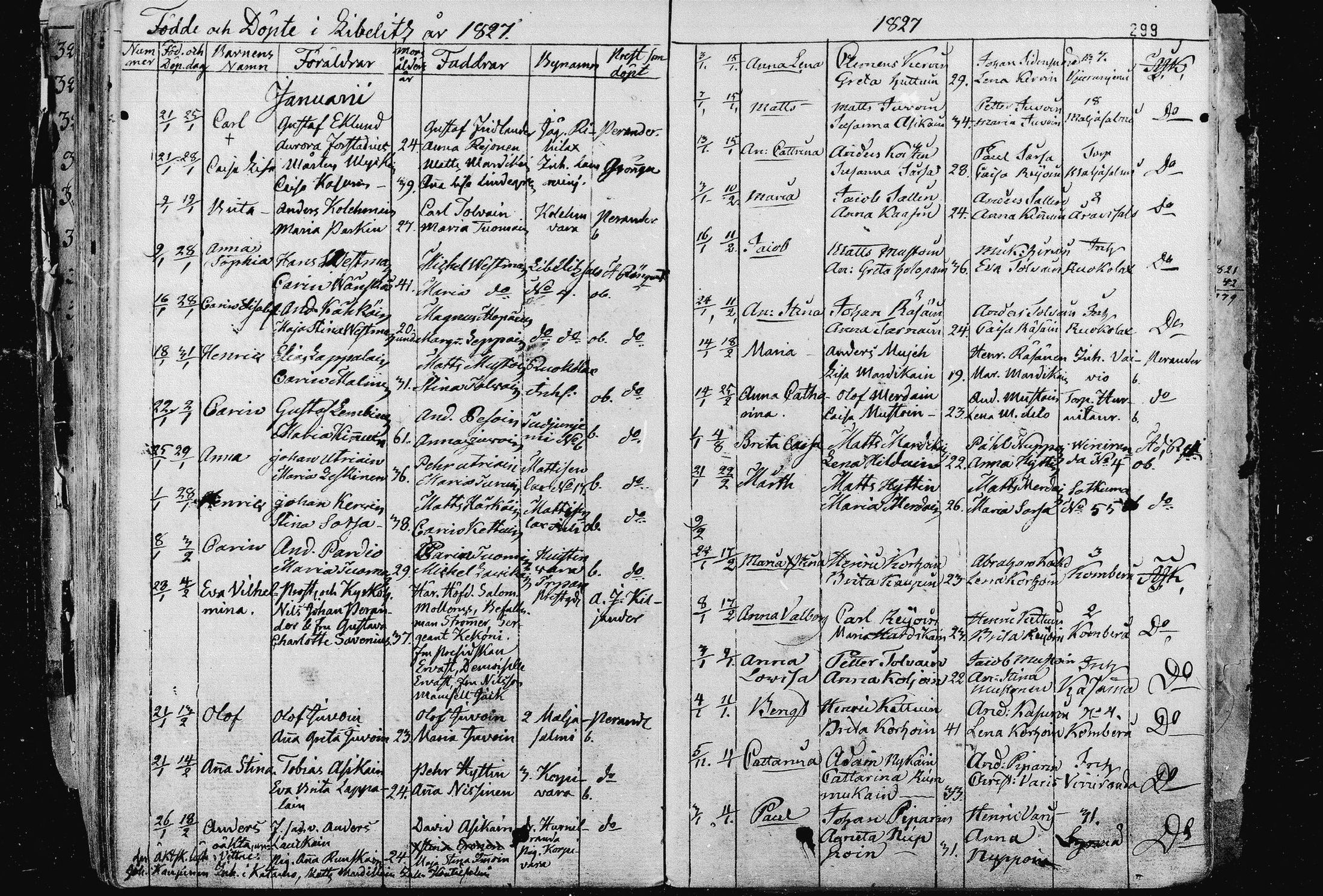 [ kuvat/185.jpg ]