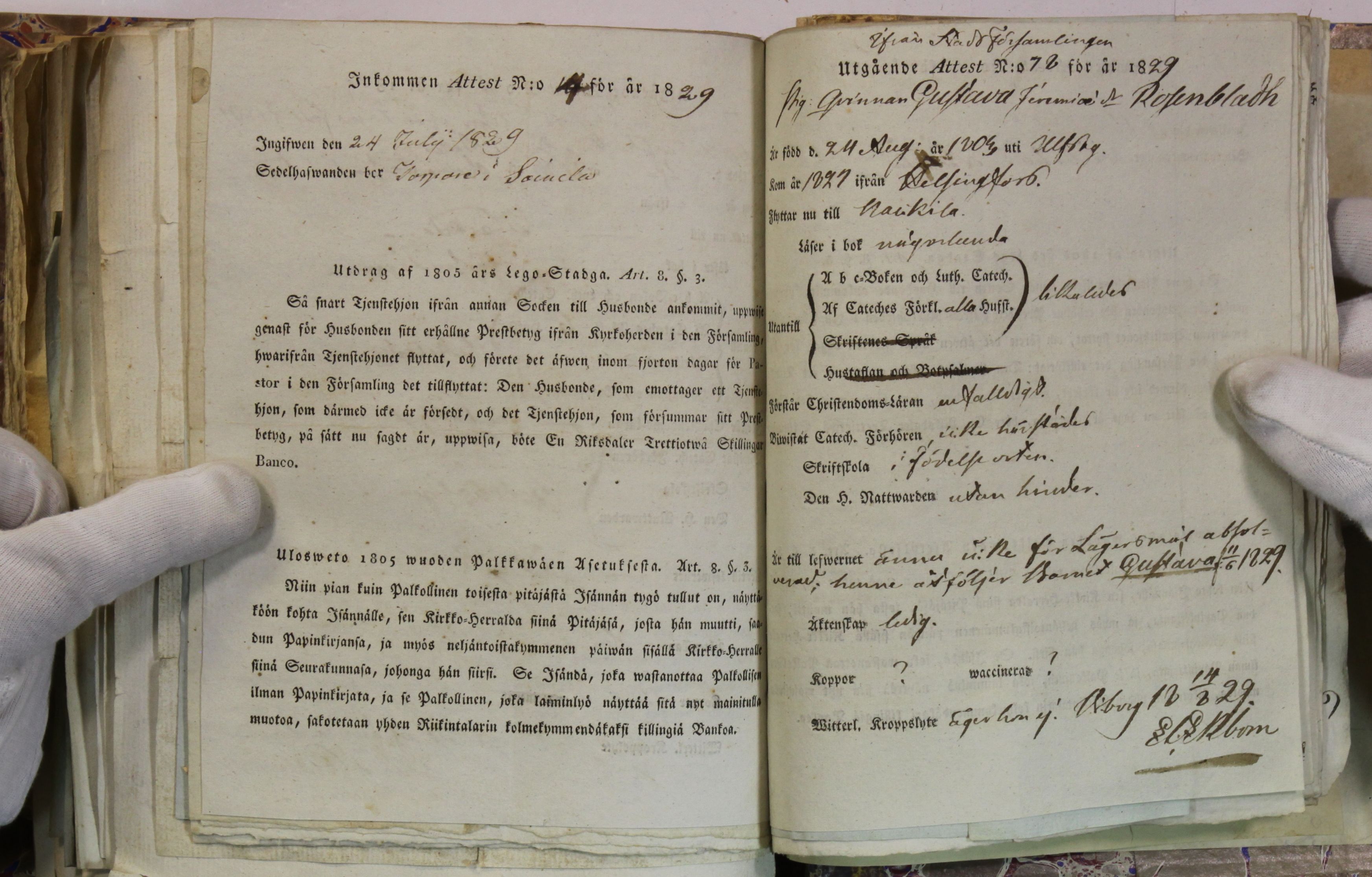 [ kuvat/425.jpg ]