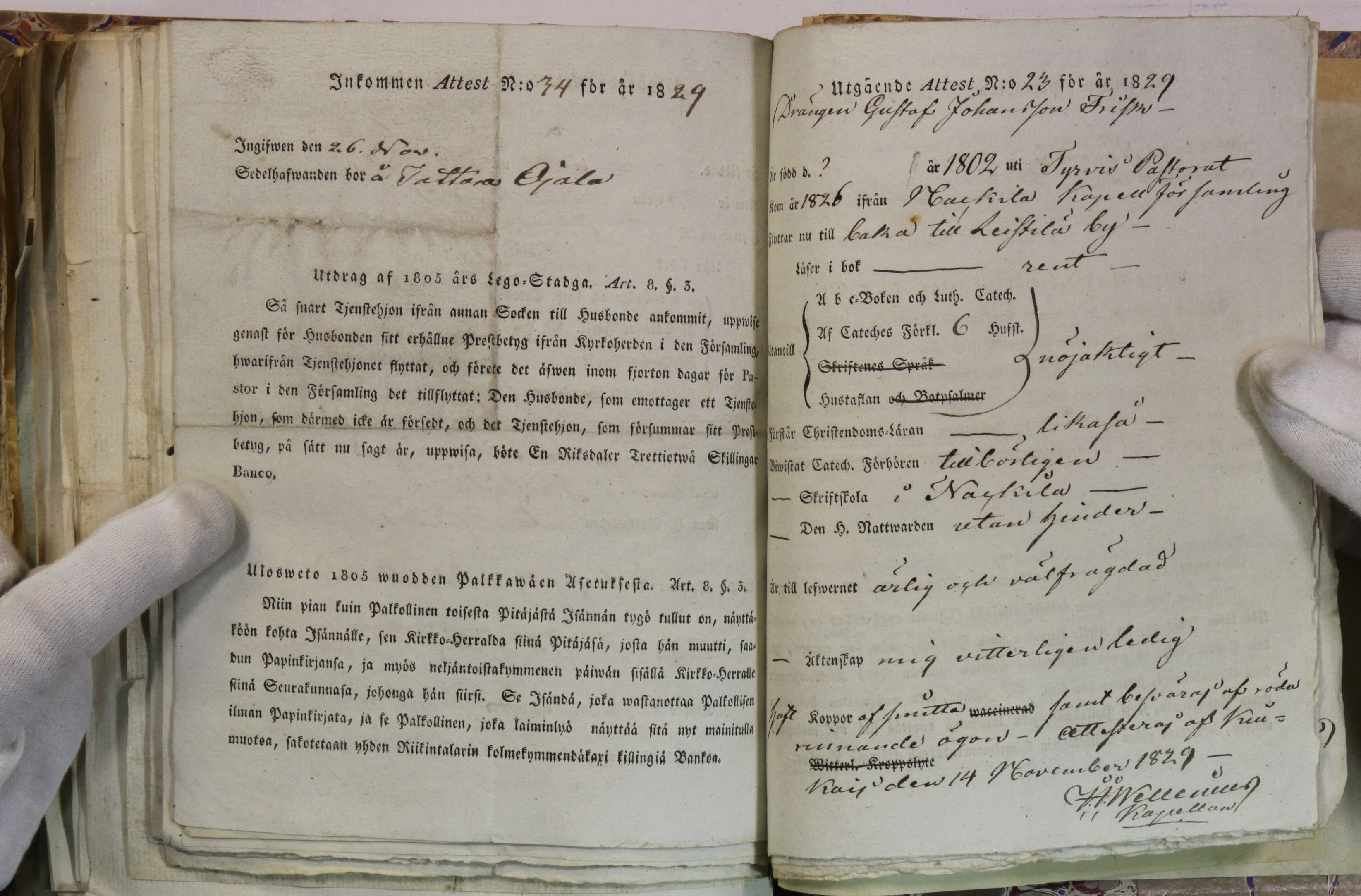 [ kuvat/445.jpg ]