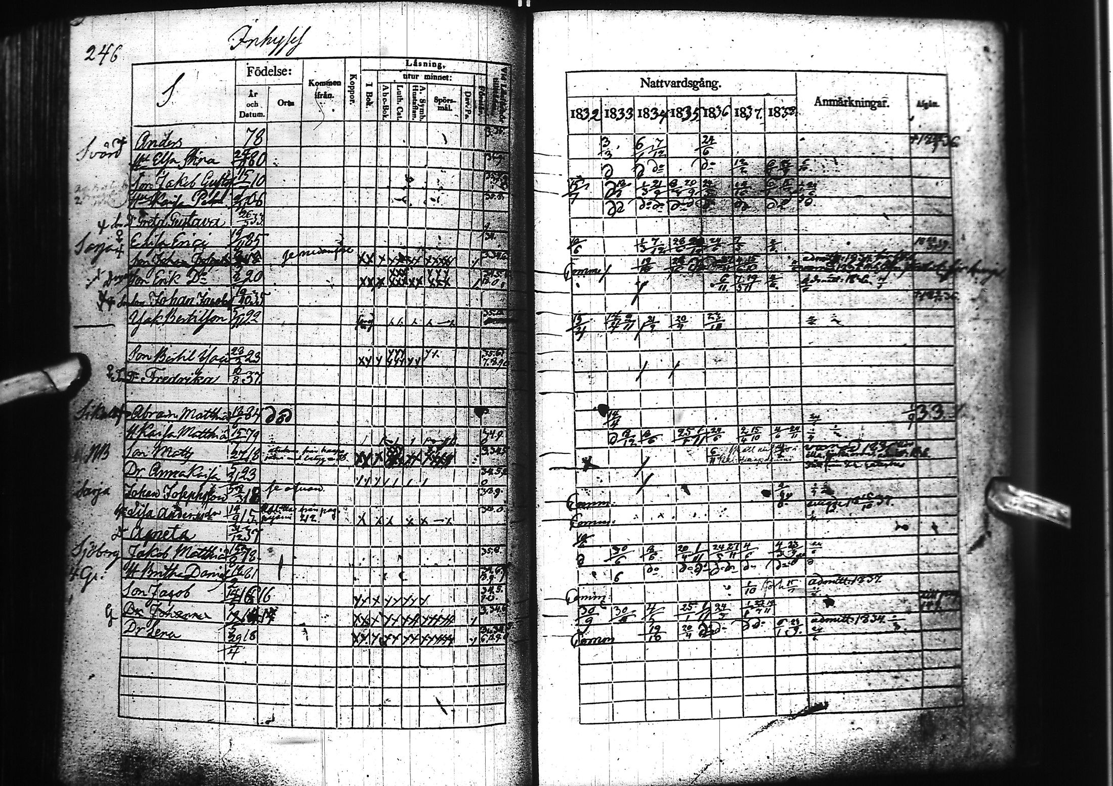 [ kuvat/246.jpg ]