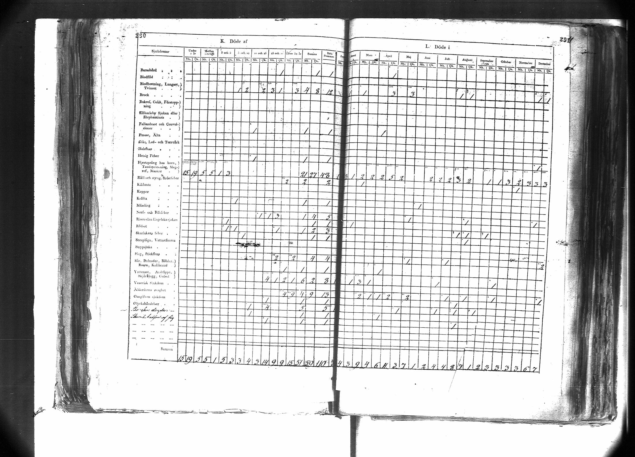 [ kuvat/187.jpg ]