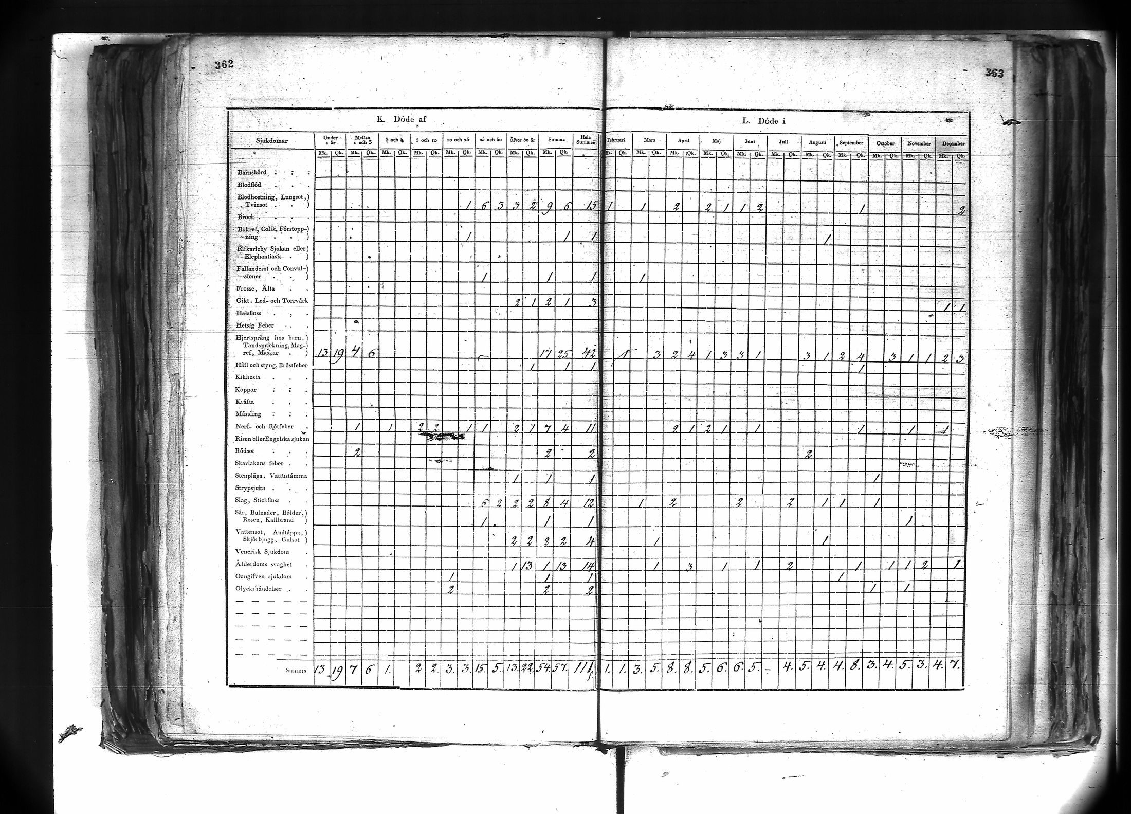 [ kuvat/223.jpg ]