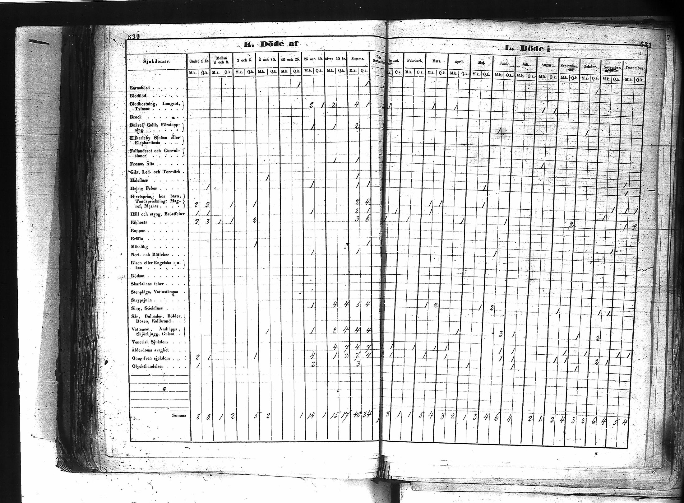 [ kuvat/358.jpg ]