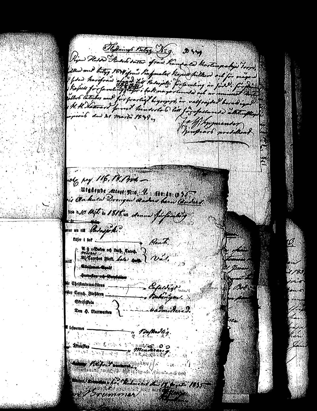 [ kuvat/167.jpg ]