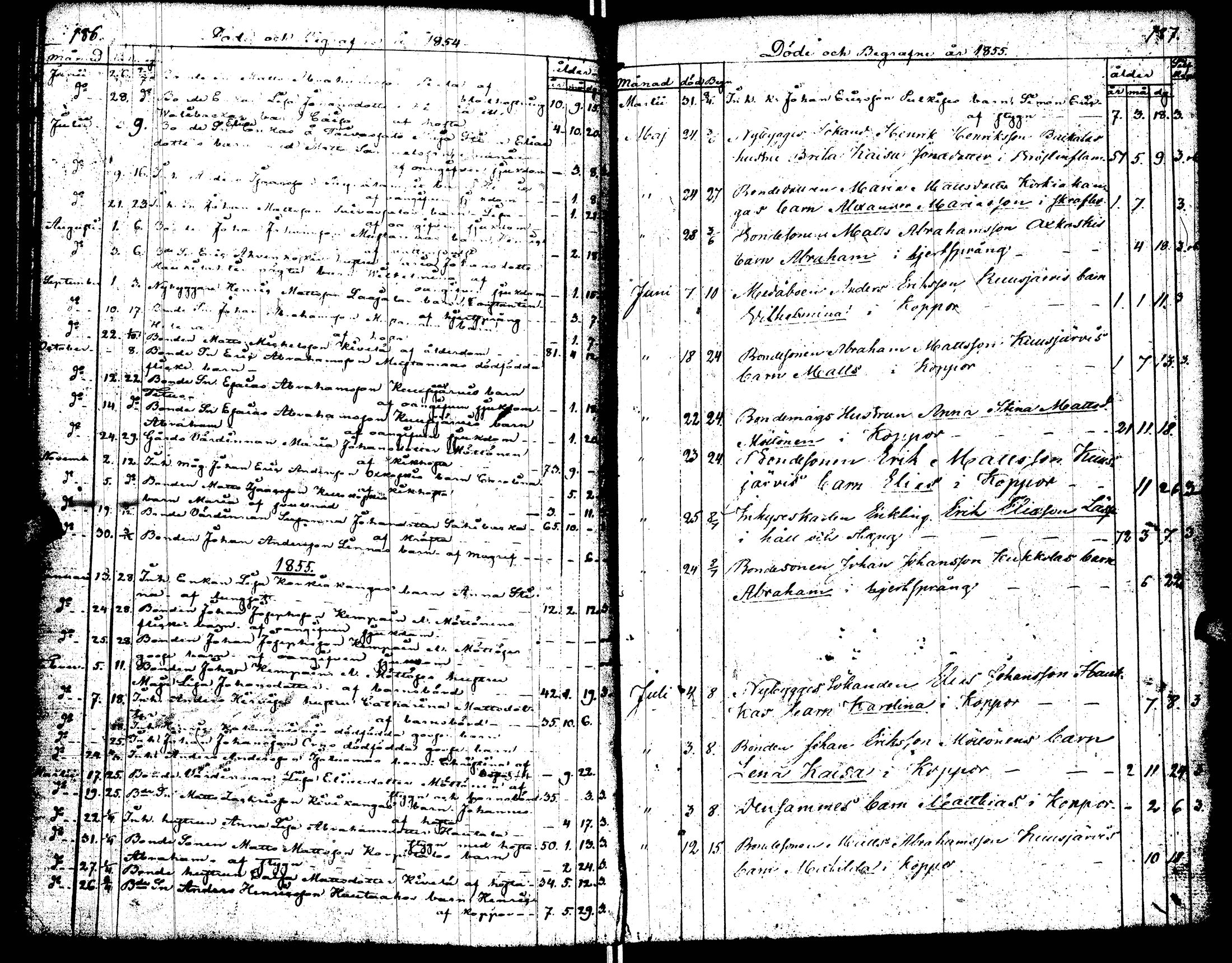 [ ../kirjat/Kirkonkirjat/perho/syntyneet-vihityt-kuolleet_1825-1858_uk530-531/kuvat/101.jpg ]