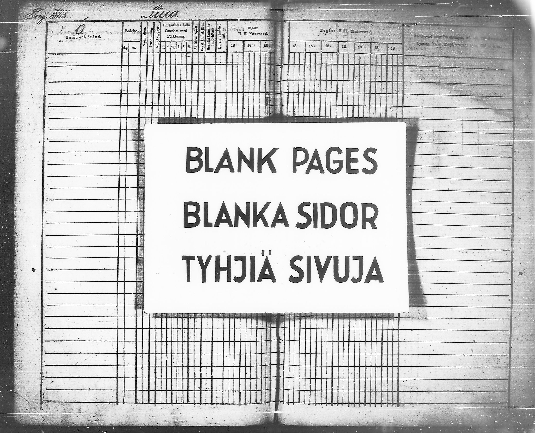 [ kuvat/385.jpg ]