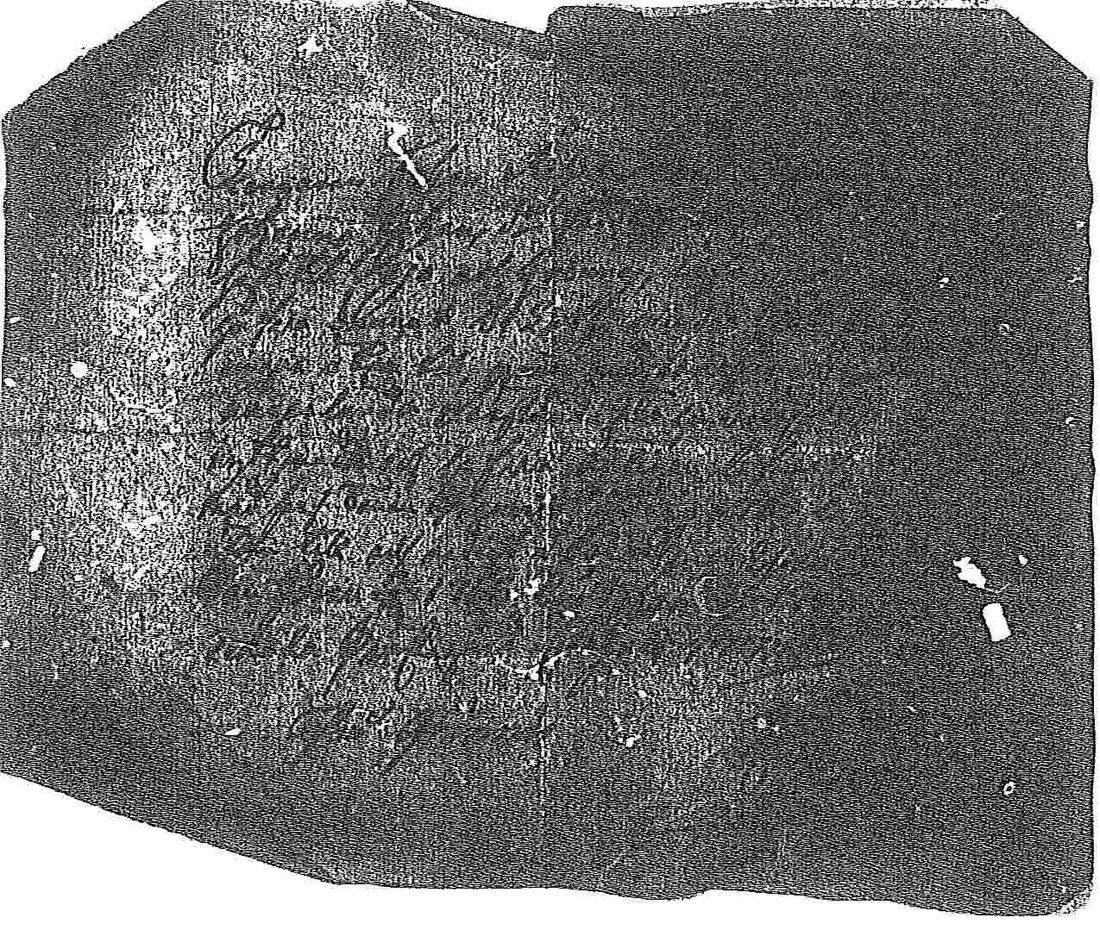 [ kuvat/479.jpg ]