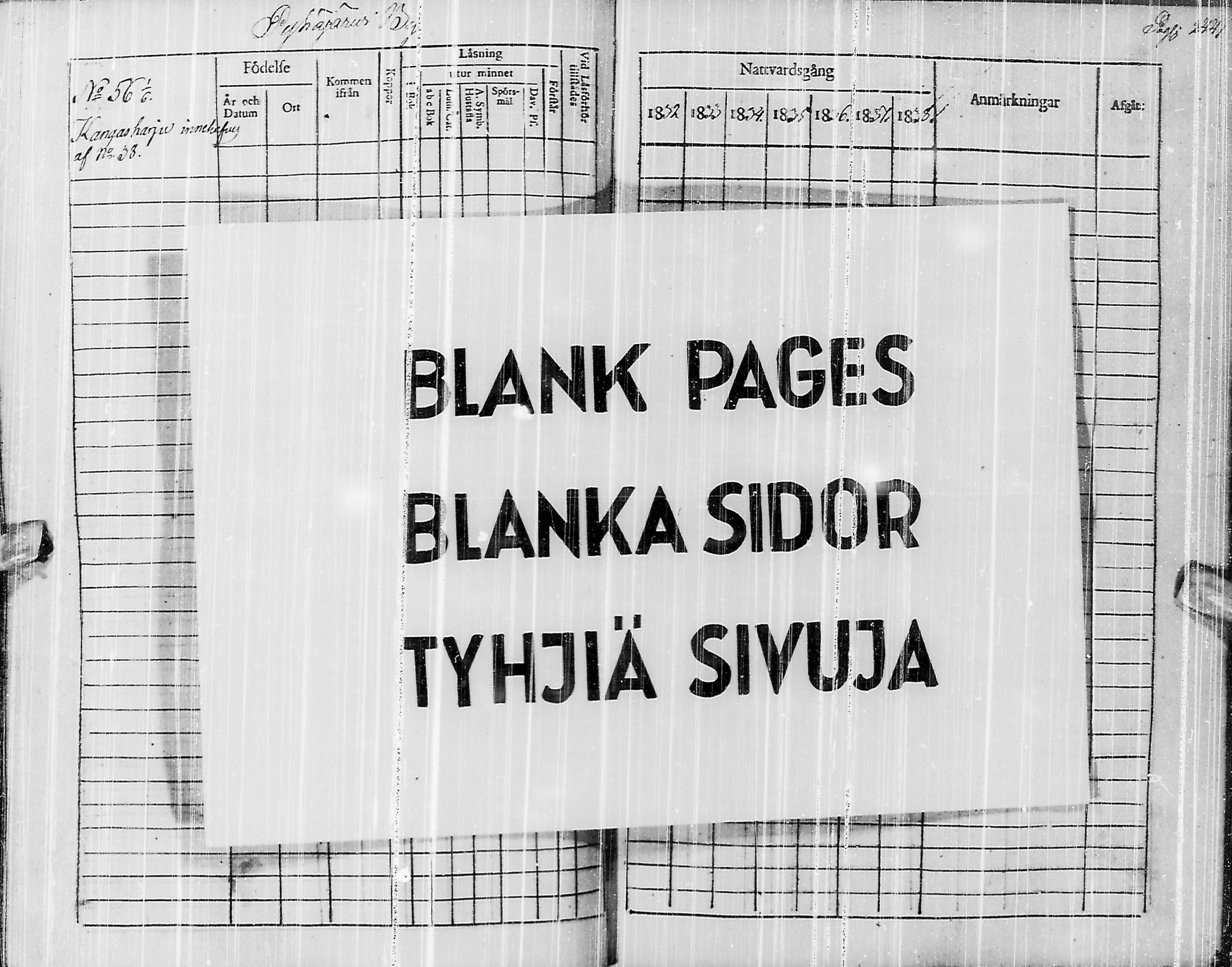 [ kuvat/246.jpg ]