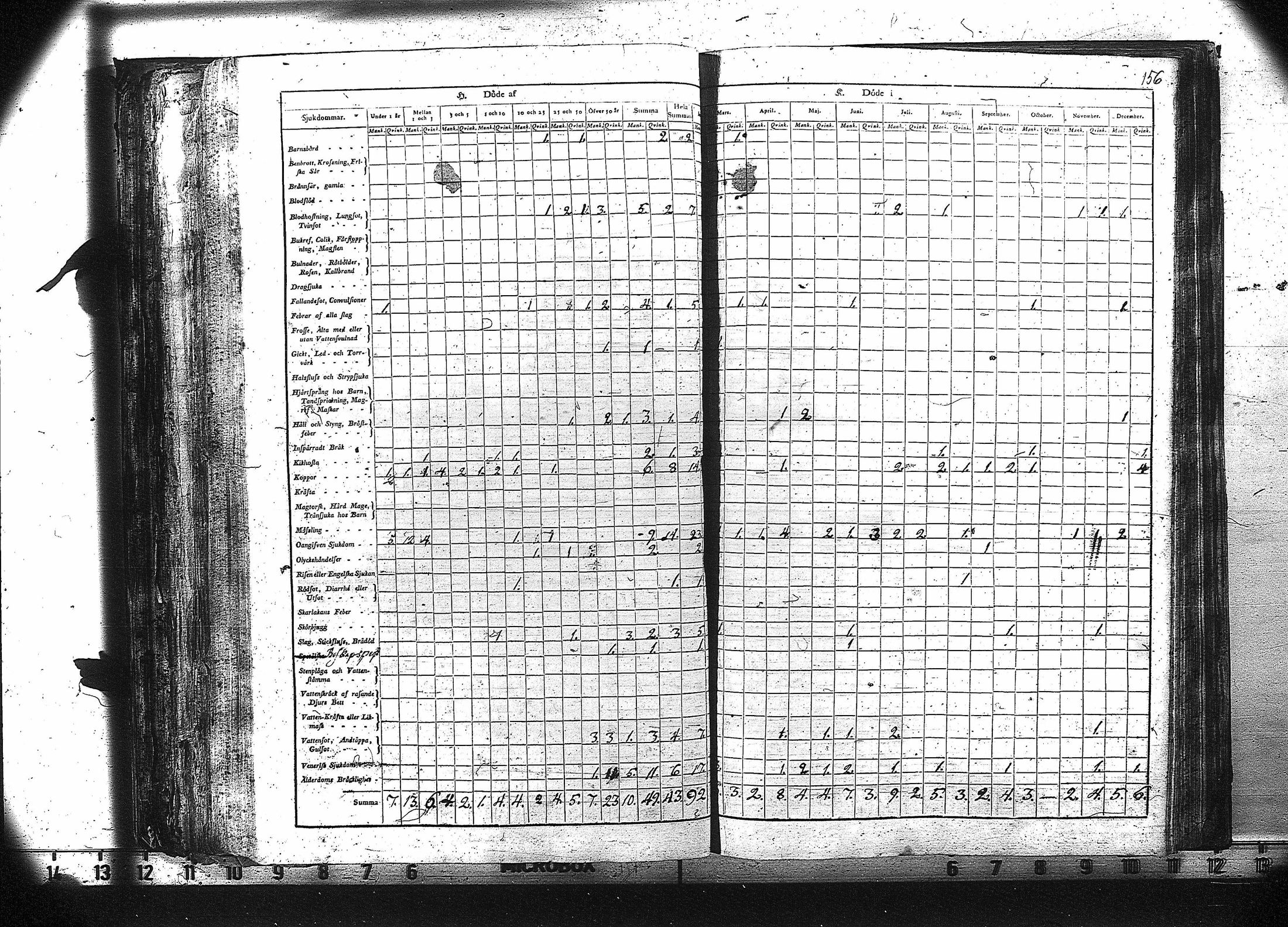 [ kuvat/157.jpg ]