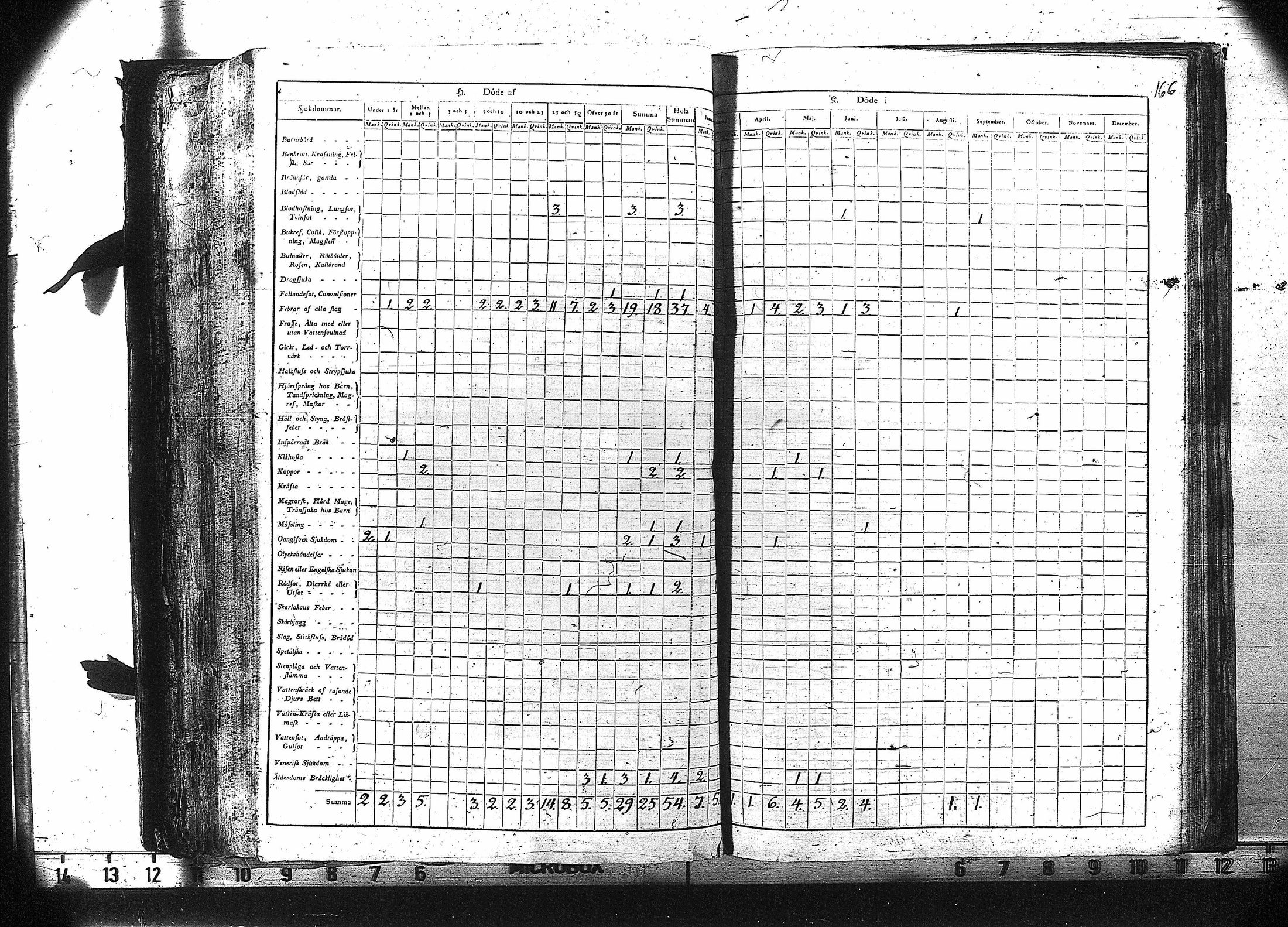 [ kuvat/167.jpg ]