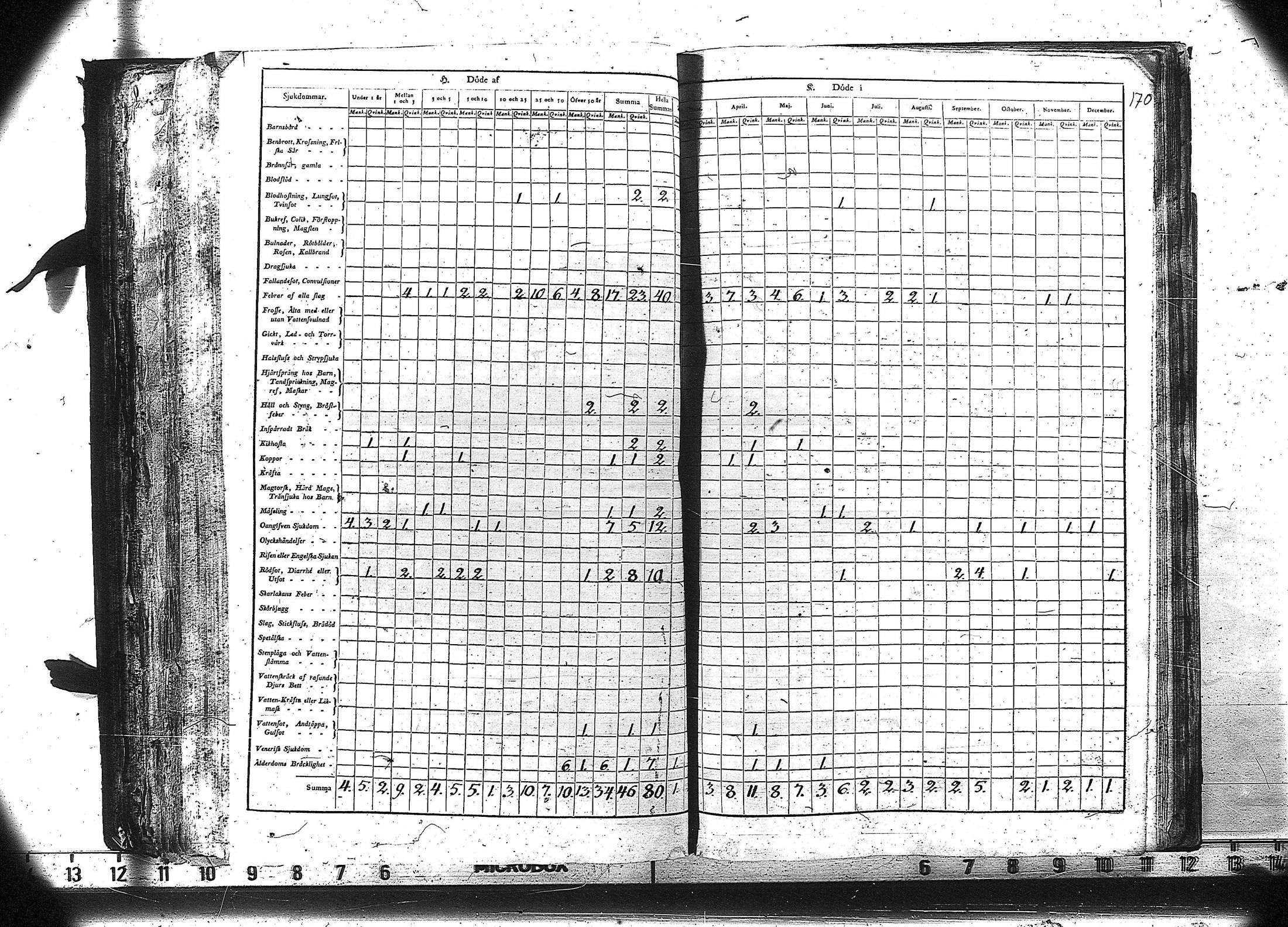 [ kuvat/171.jpg ]