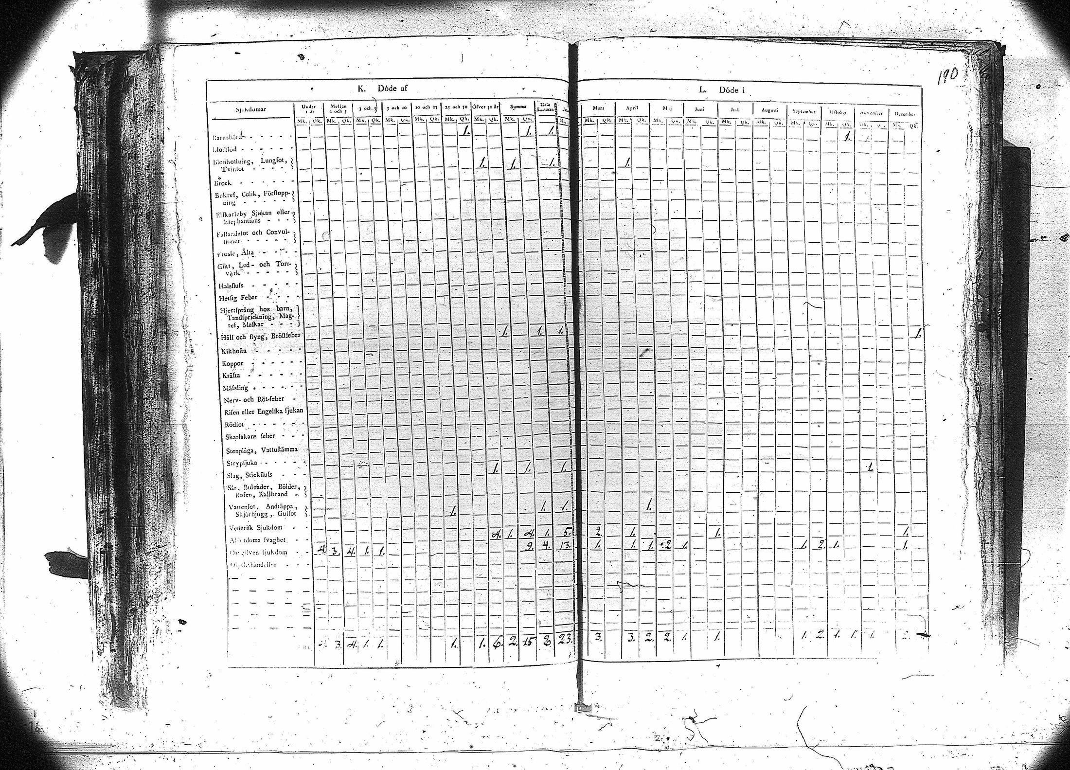 [ kuvat/191.jpg ]