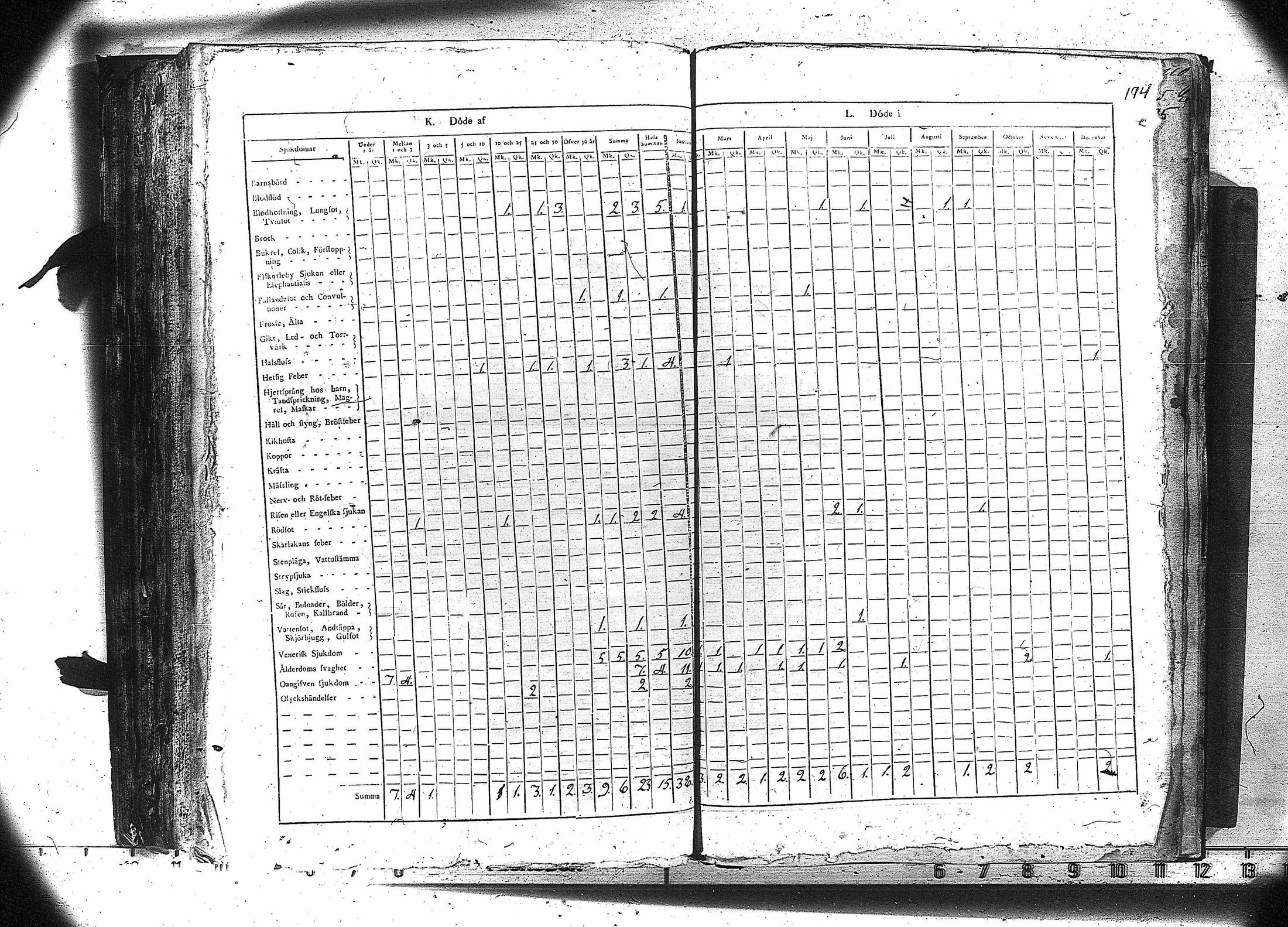 [ kuvat/195.jpg ]