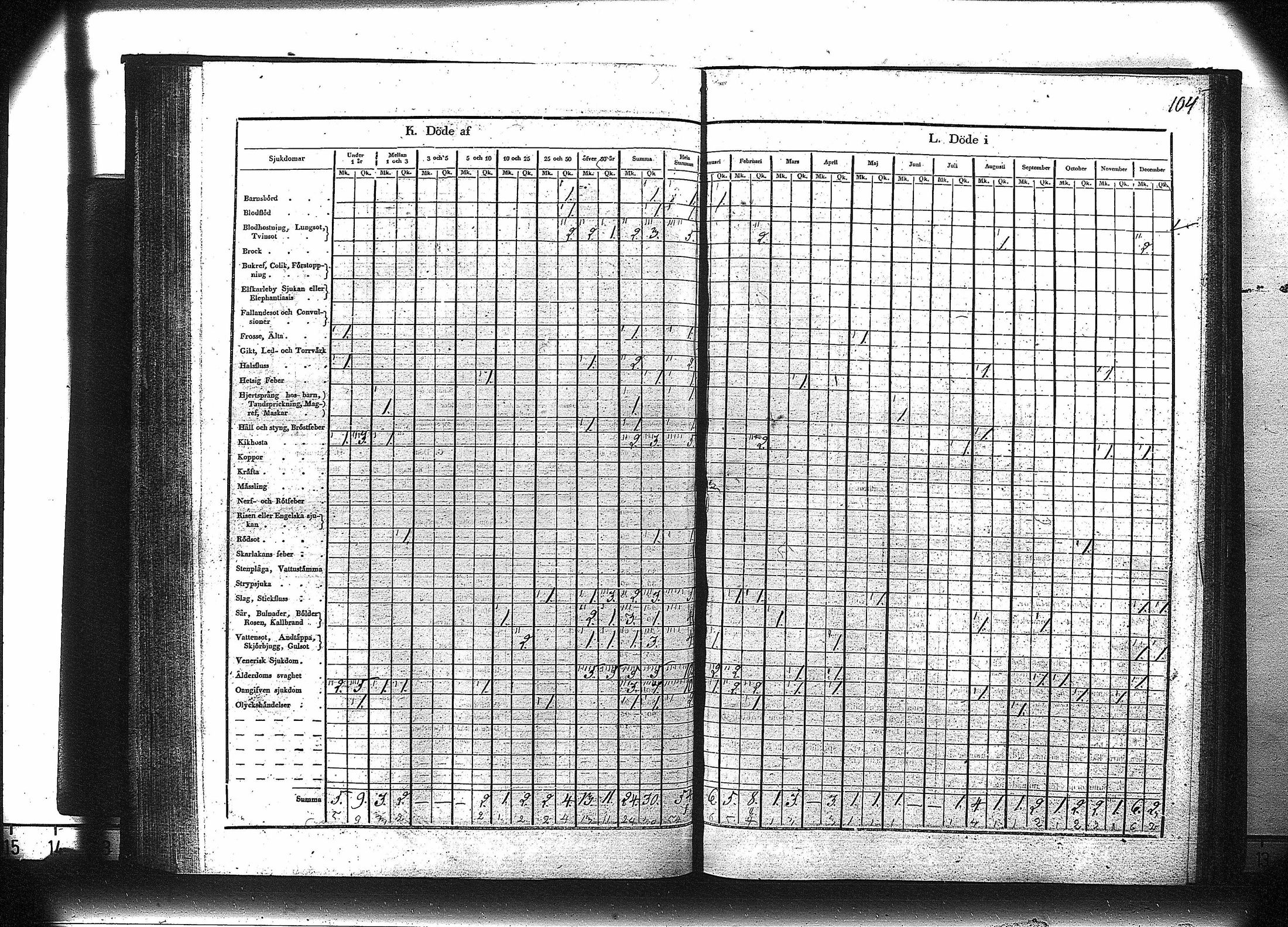 [ kuvat/105.jpg ]