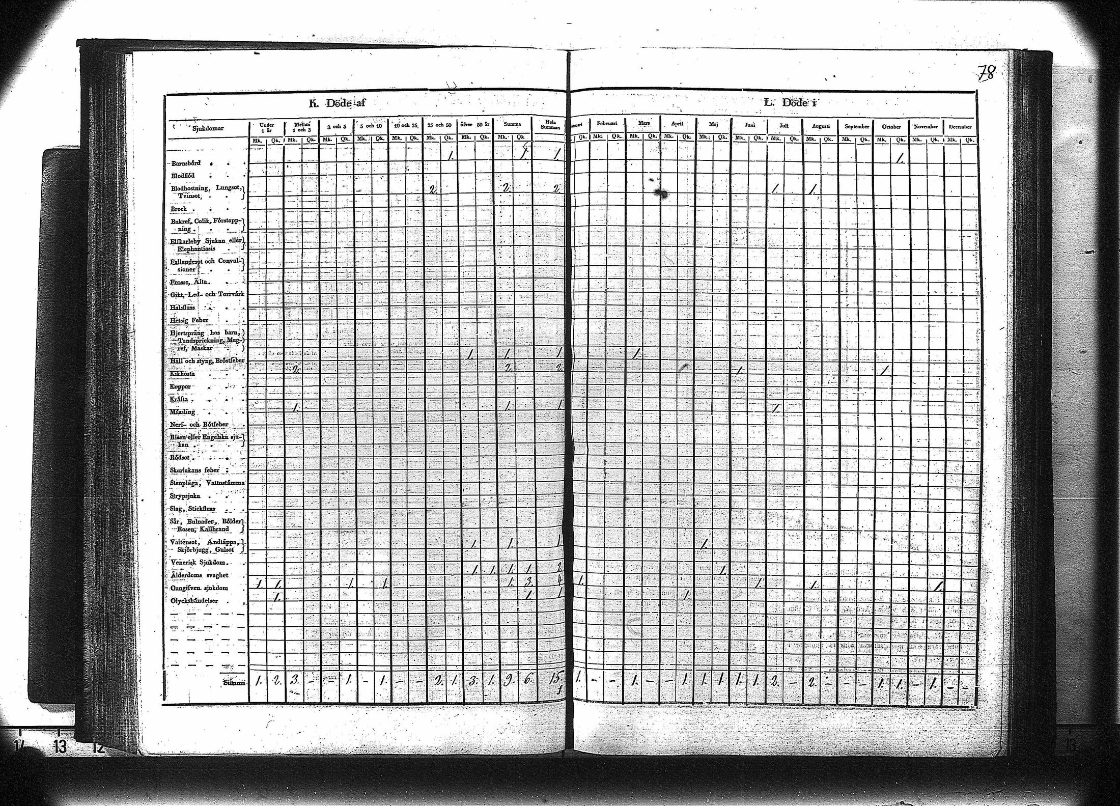 [ kuvat/79.jpg ]