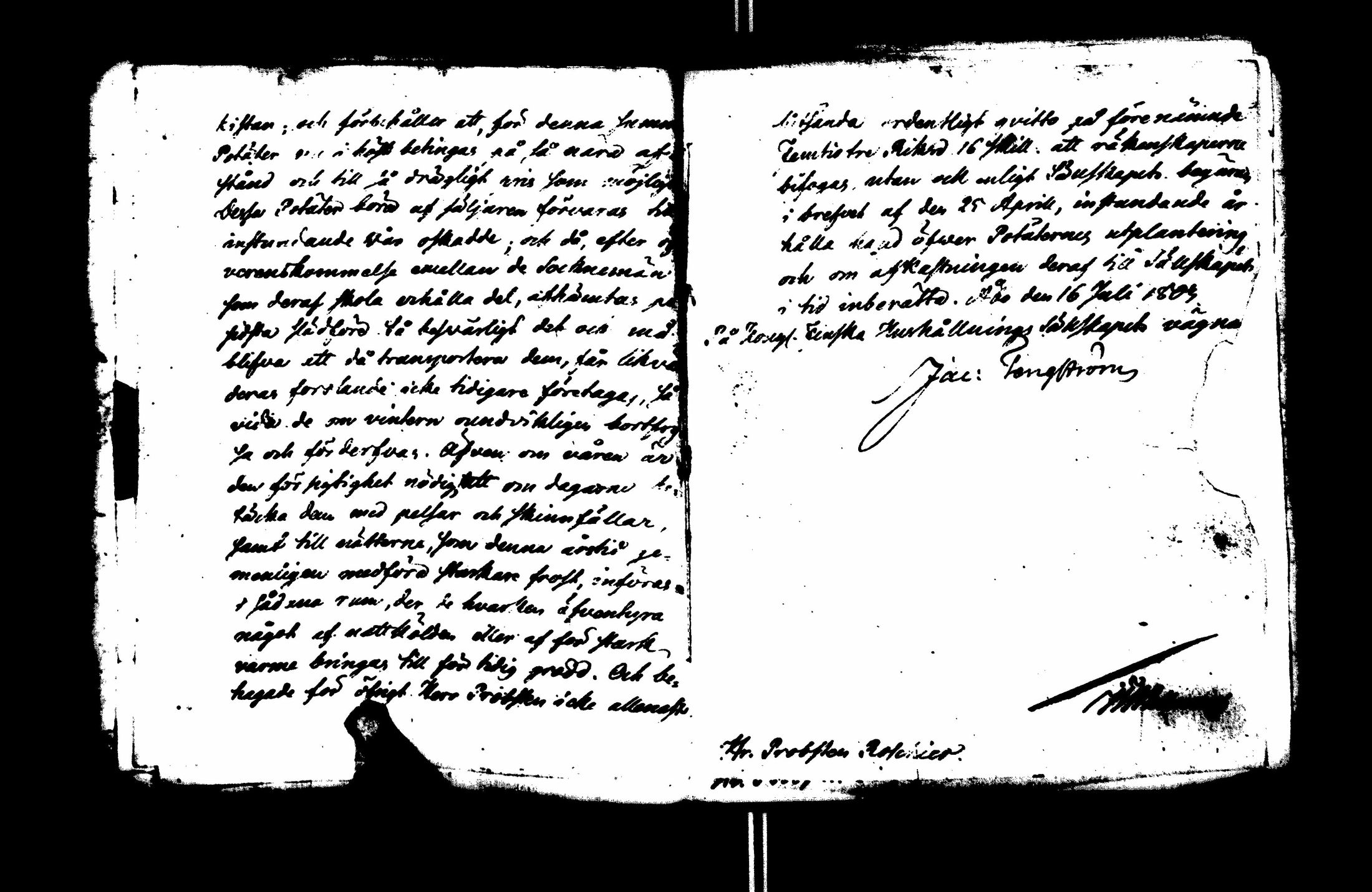 [ kuvat/82.jpg ]
